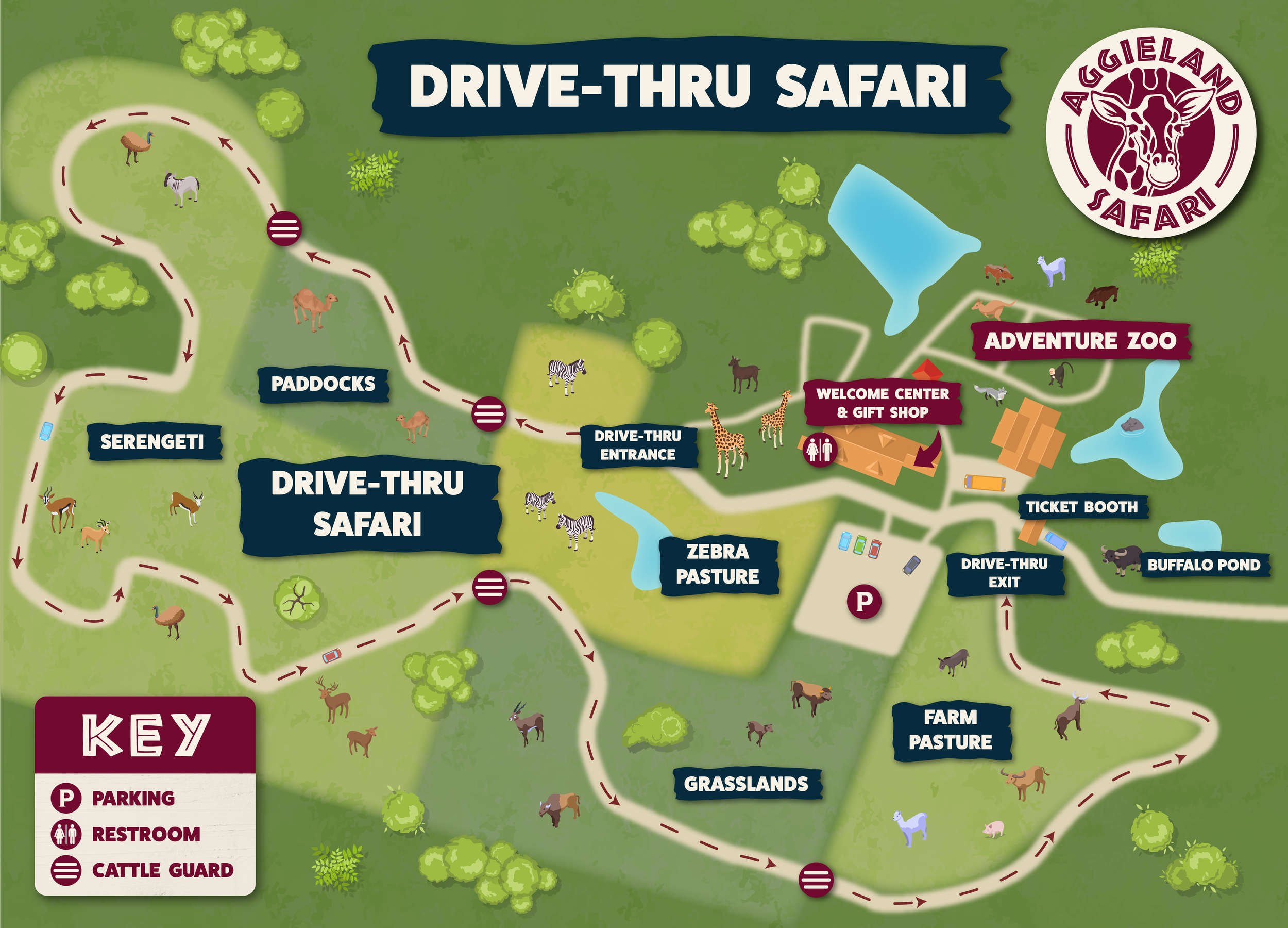 Map of Agueland Safari drive-thru area with animal zones, parking, restrooms, and key attractions including Zebra Pasture, Buffalo Pond, Adventure Zoo, and Paddocks.