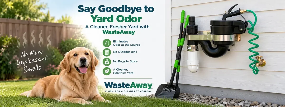 My Yard Smells Like Dog Poop. How Can WasteAway Help?