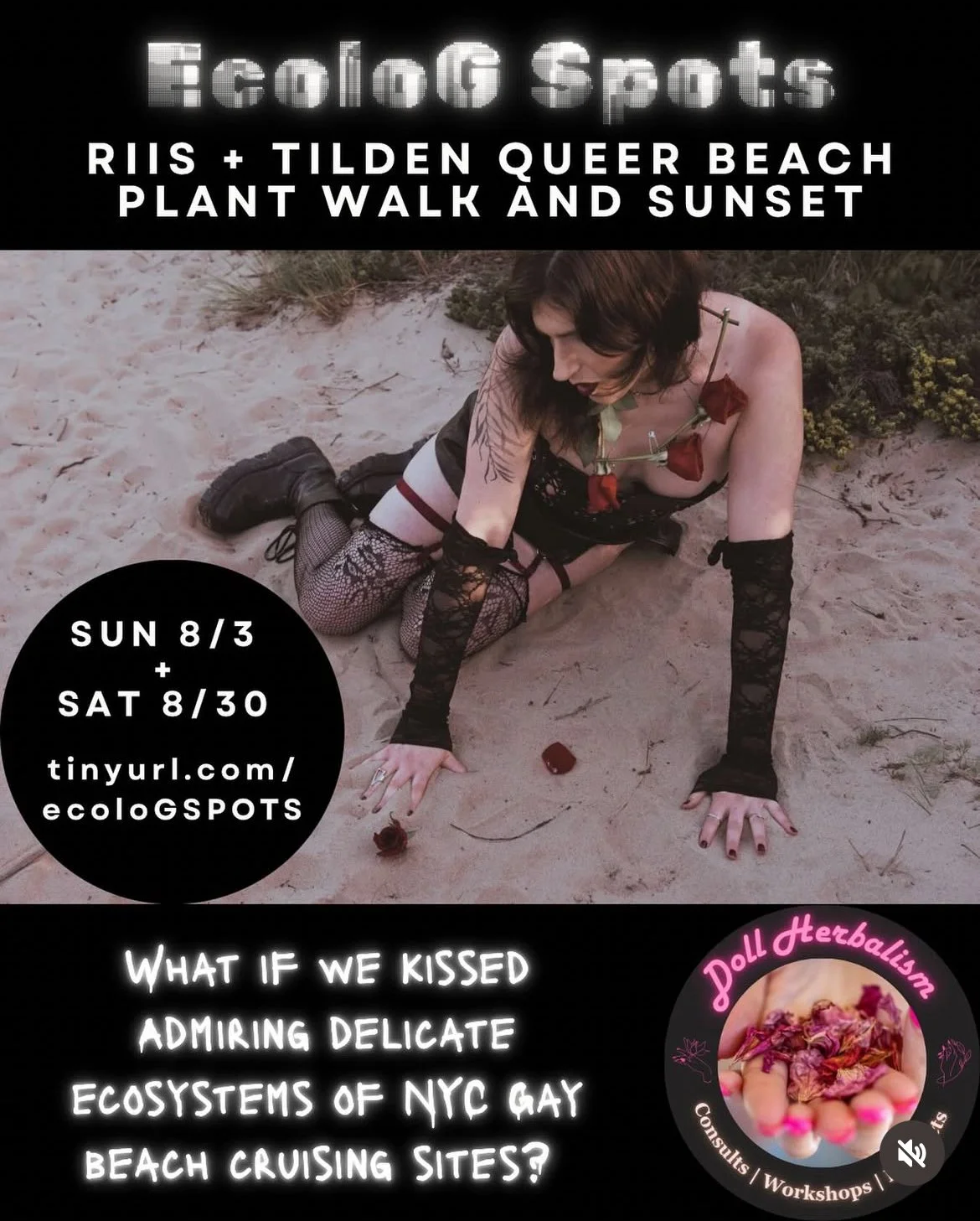 ecolog SPOTS: riis + Tilden Queer beach plant walk