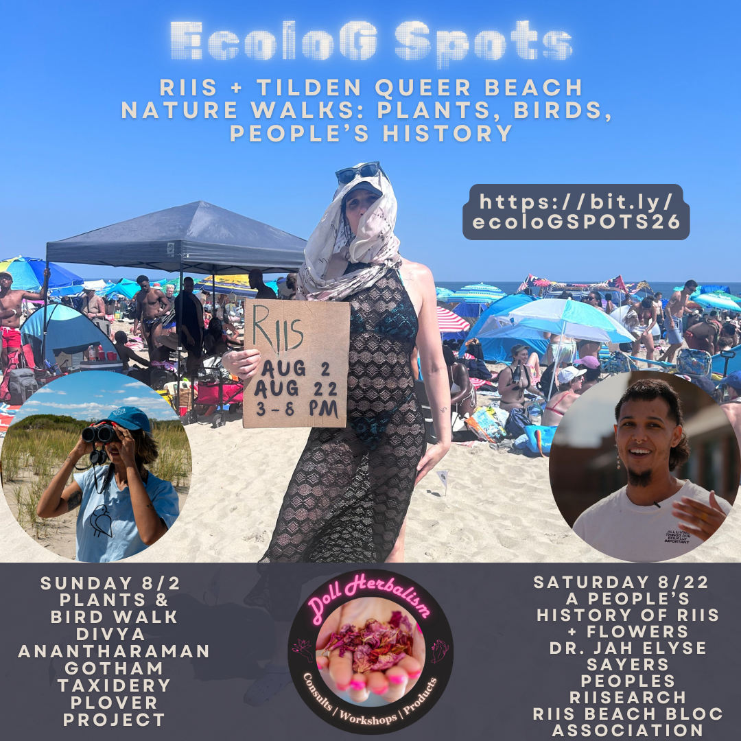 NYC IN person: ecoloG SPOTS: People's History of Riis Beach with Dr. jah elyse sayers
