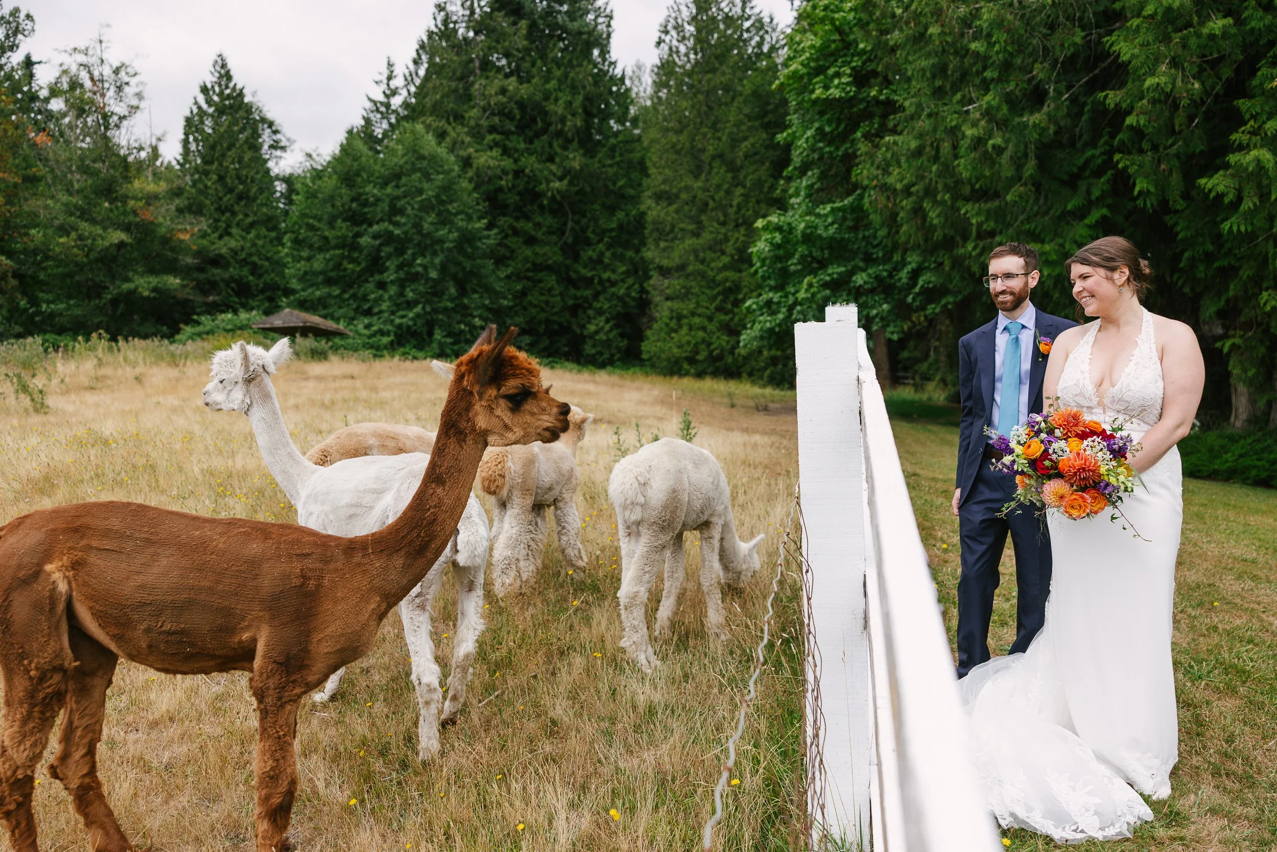 Vancouver wedding photographer packages