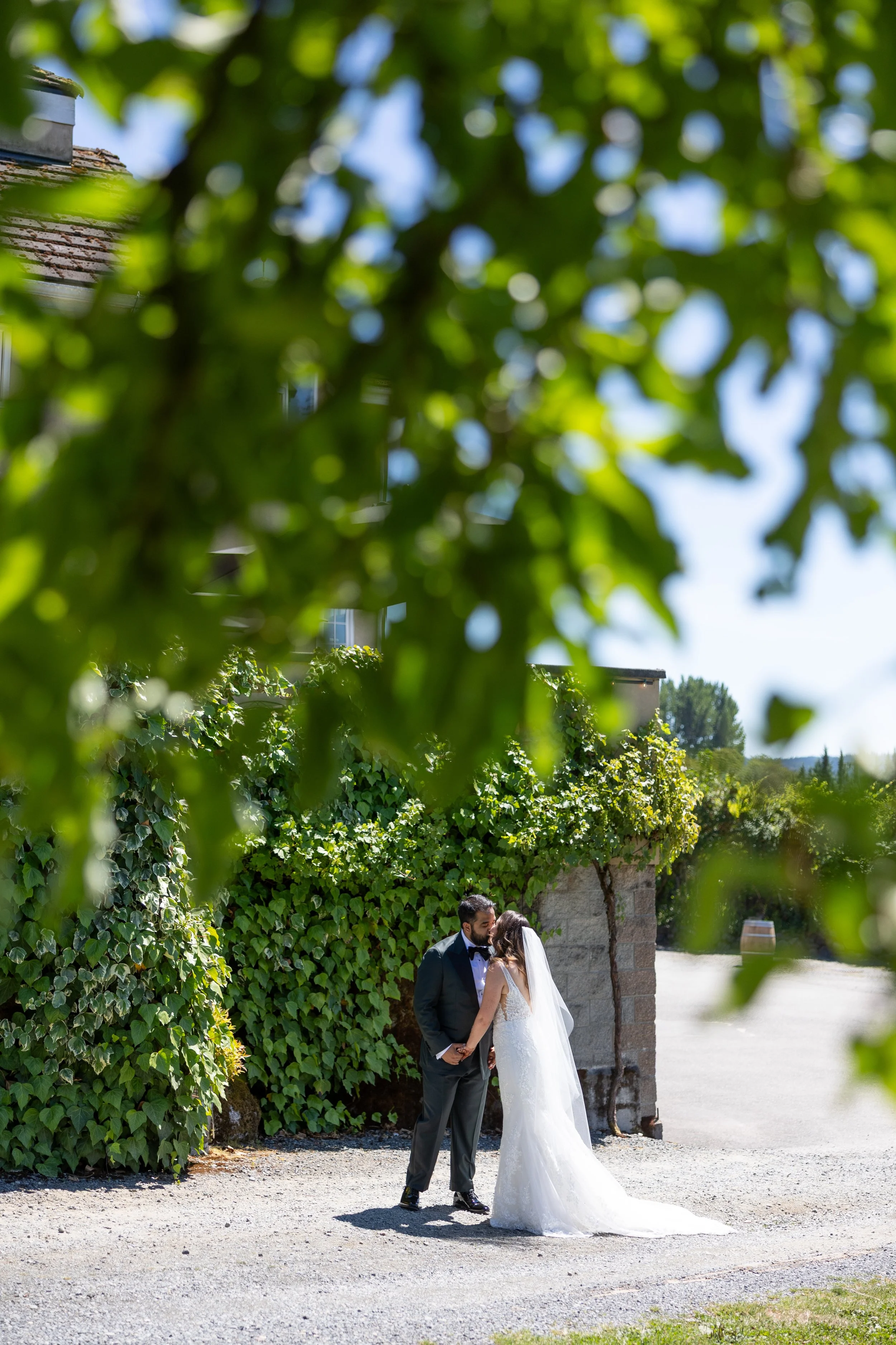 Vancouver vineyard wedding photographers