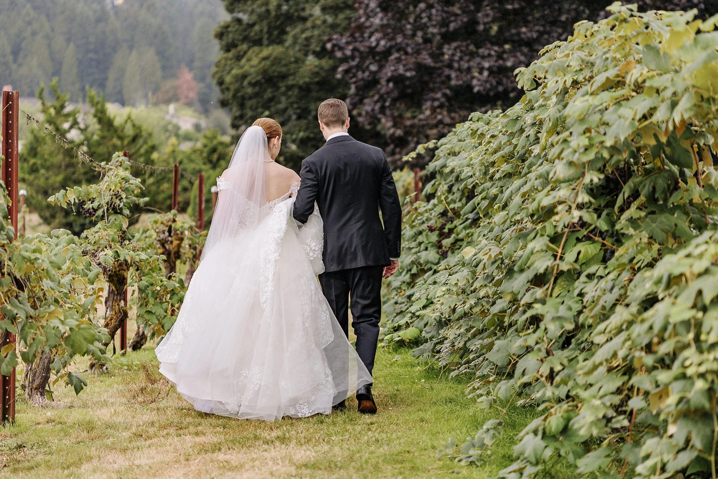 Vancouver vineyard wedding photographers