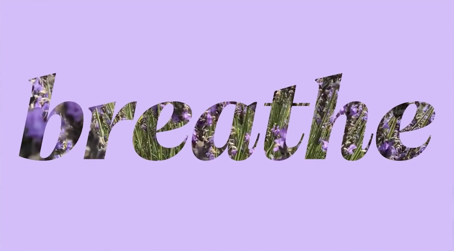 Screenshot 2026-04-28 at 11.36.04 AM.png