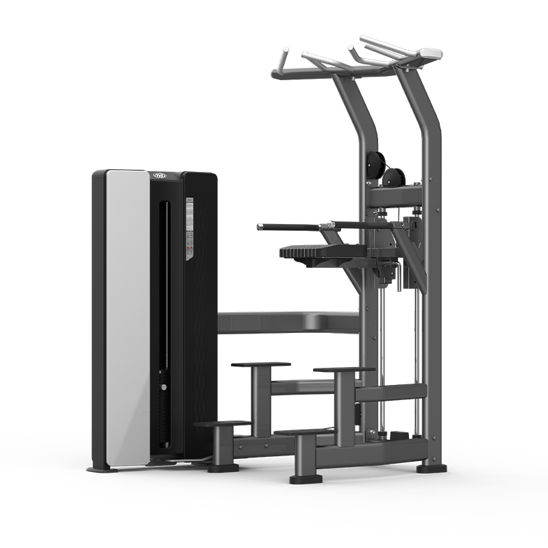 ASSISTED CHIN /DIP  CS-008