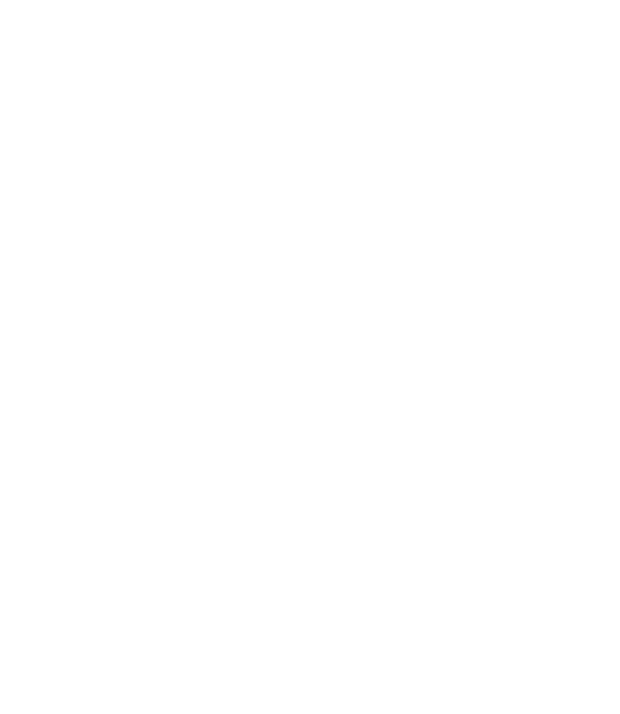 Consultancy, training, coaching in psychology and business 