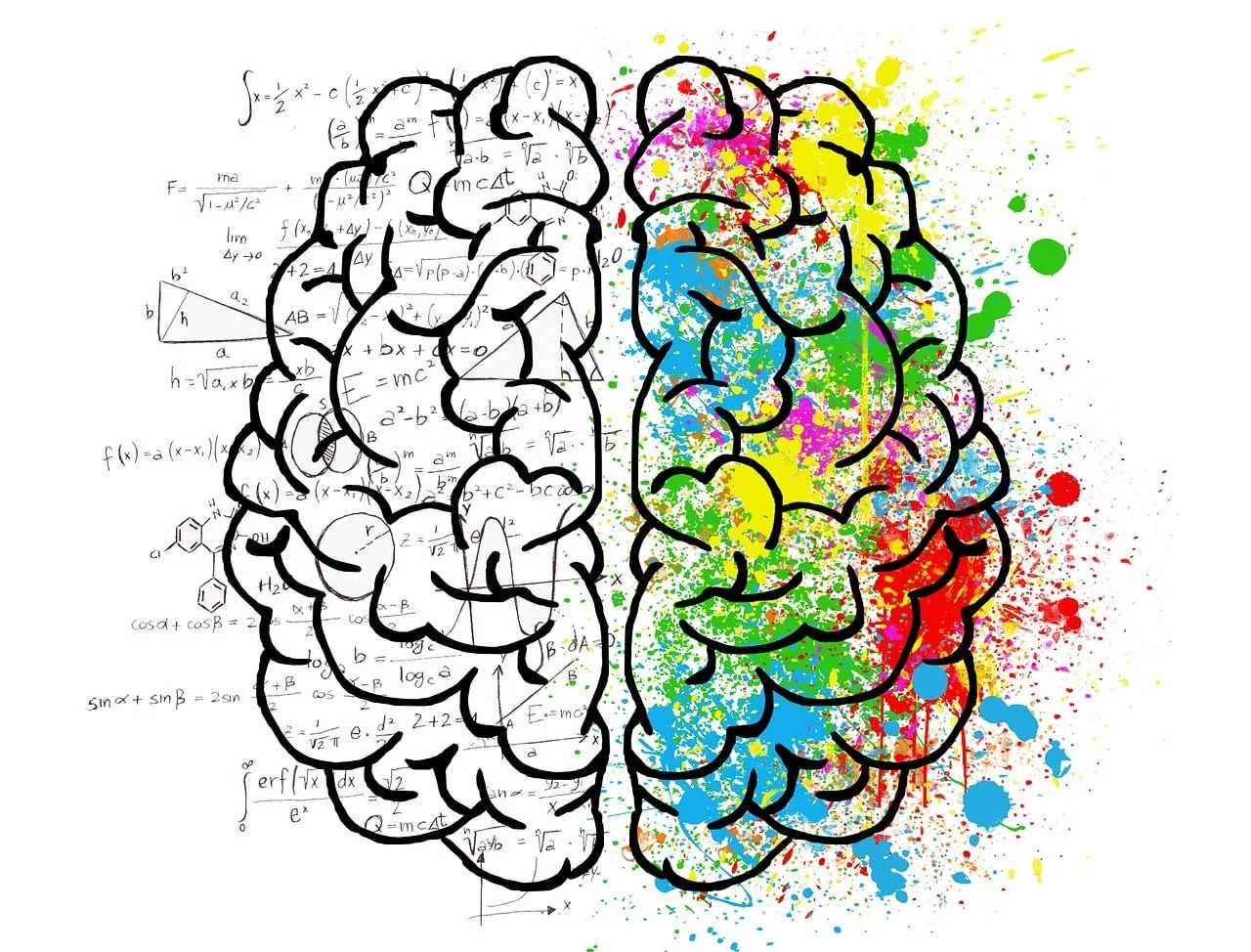 Neuropsychology - colourful brain.jpg