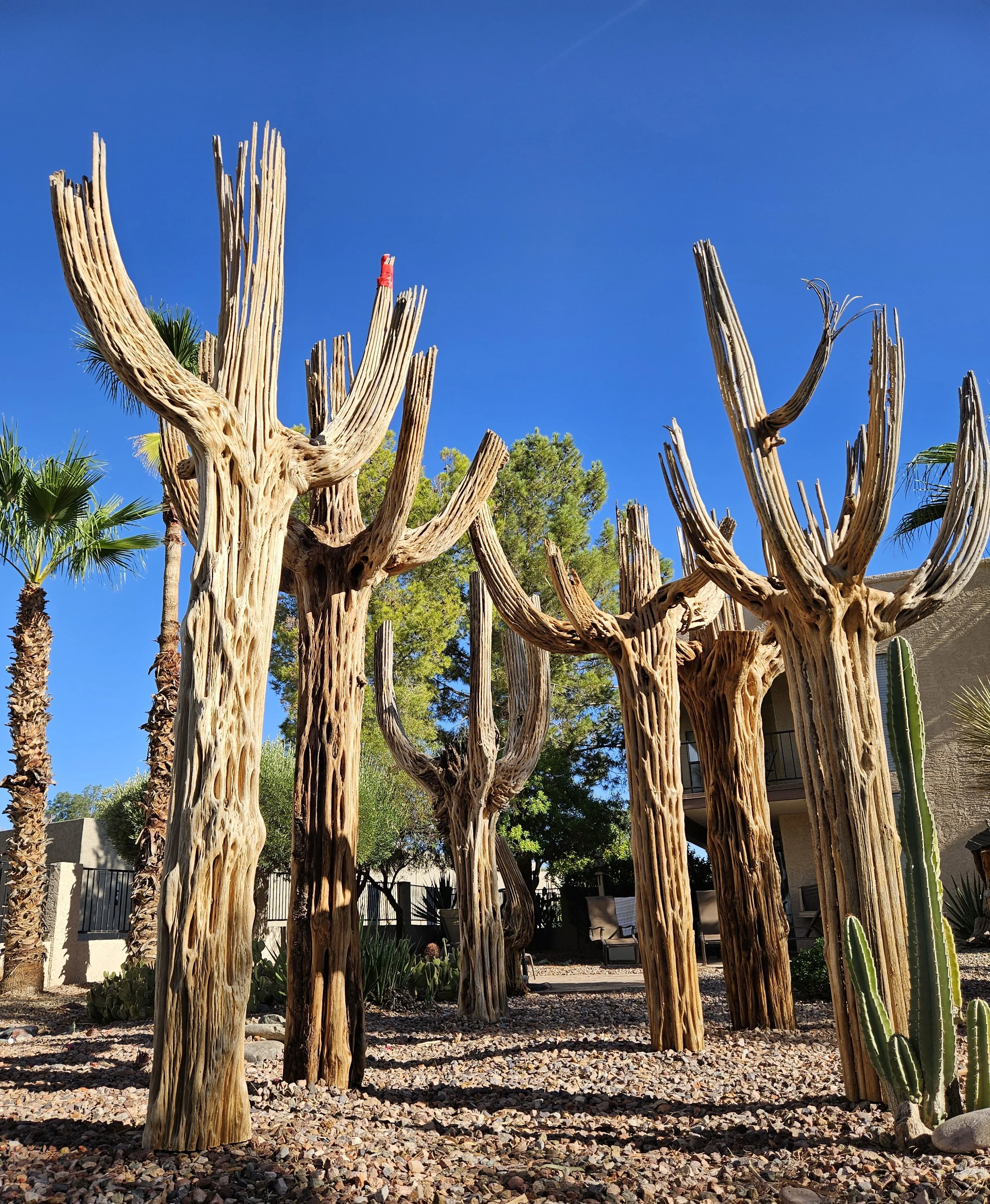 Our 2-man Bush Team ventures AZ terrain to source the best Cactuswood and Joshua Trees in the desert. Fully equipped with AZDA permits and transport tags, we deliver your desert exotic anywhere in the state. On site we will professionally install the