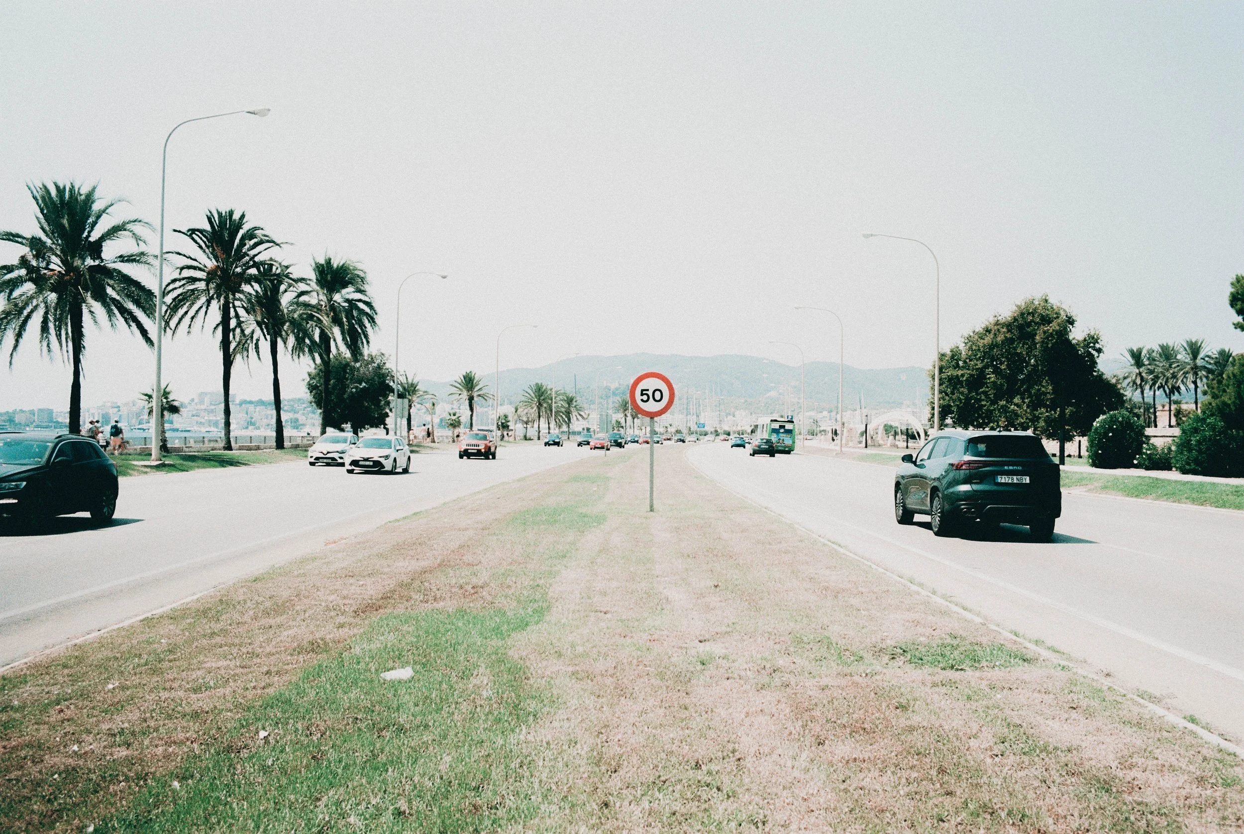 Straßenansicht mit Autos, Palme und 50 km/h Geschwindigkeitsbegrenzungsschild