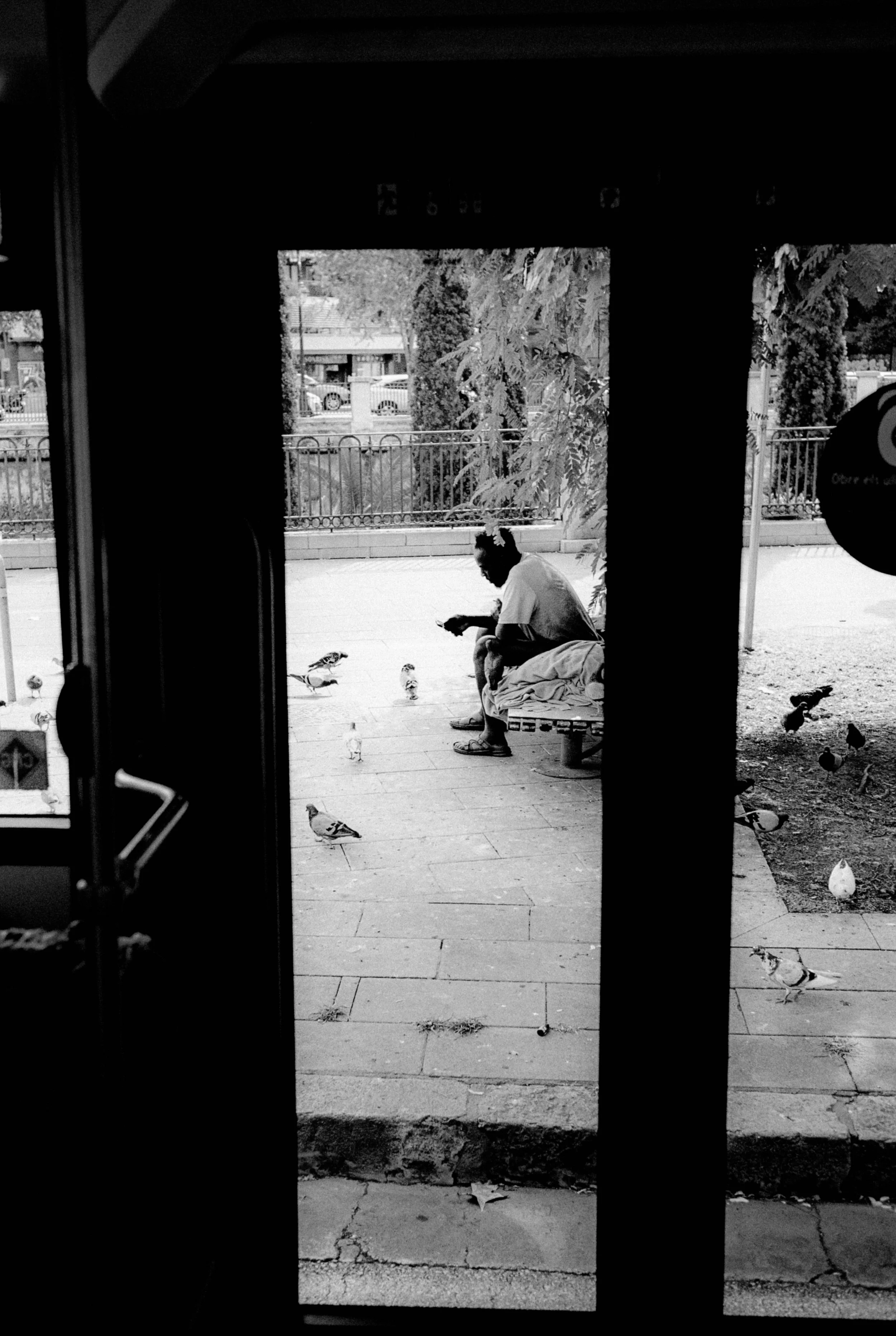 Ein Mann sitzt auf einer Bank im Freien und liest, umgeben von fliegenden Tauben.