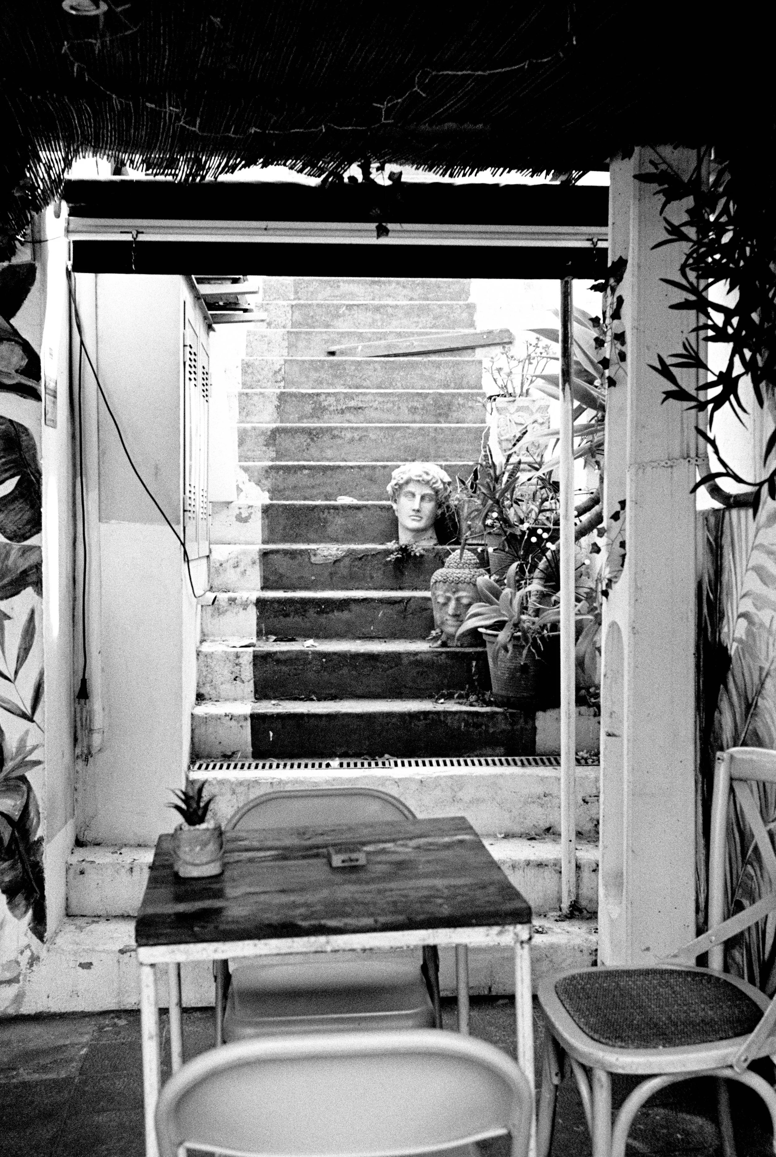 Stufen mit zwei Skulpturköpfen, Pflanzen und einer kleinen Terrasse im Hintergrund, Blick durch eine Tür in einen Innenhof.