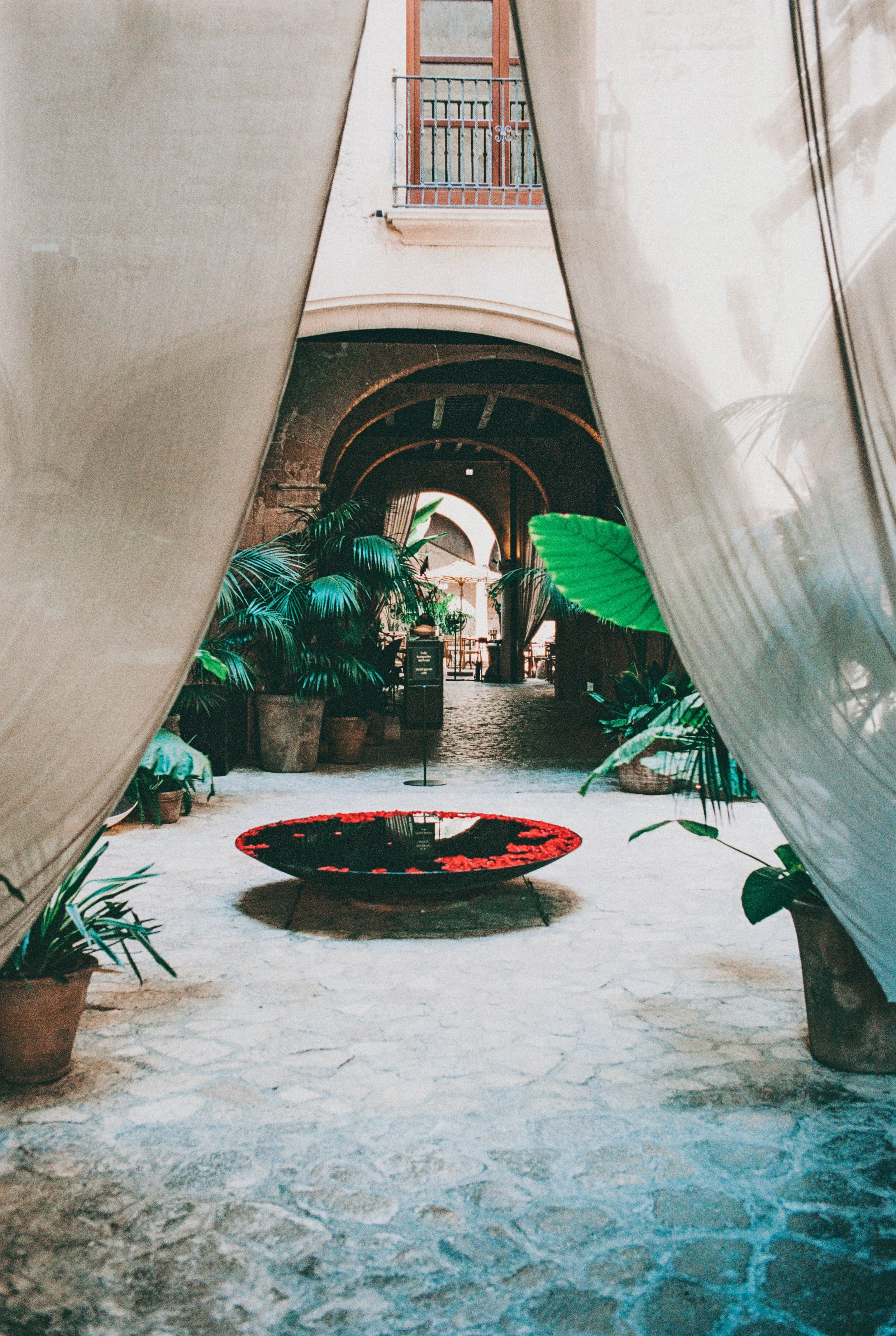 Ein Innenraum mit vielen grünen Pflanzen, einer Wasserquelle in der Mitte und braunen Töpfen, umgeben von hellen Vorhängen.