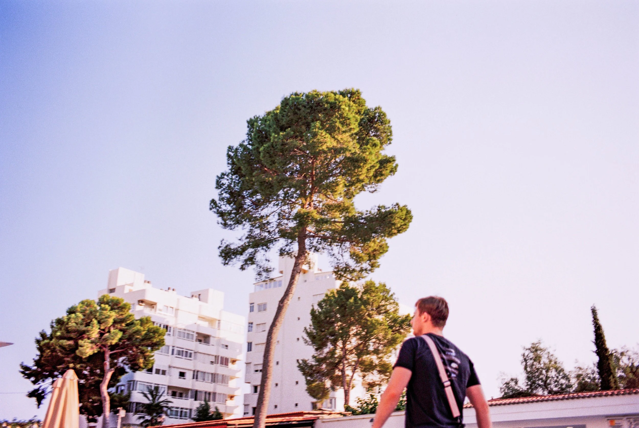 Ein junger Mann mit Rucksack geht an einem urbanen Gebäude mit Bäumen vorbei. Es ist Nachmittag oder frühen Abend, der Himmel ist hell.