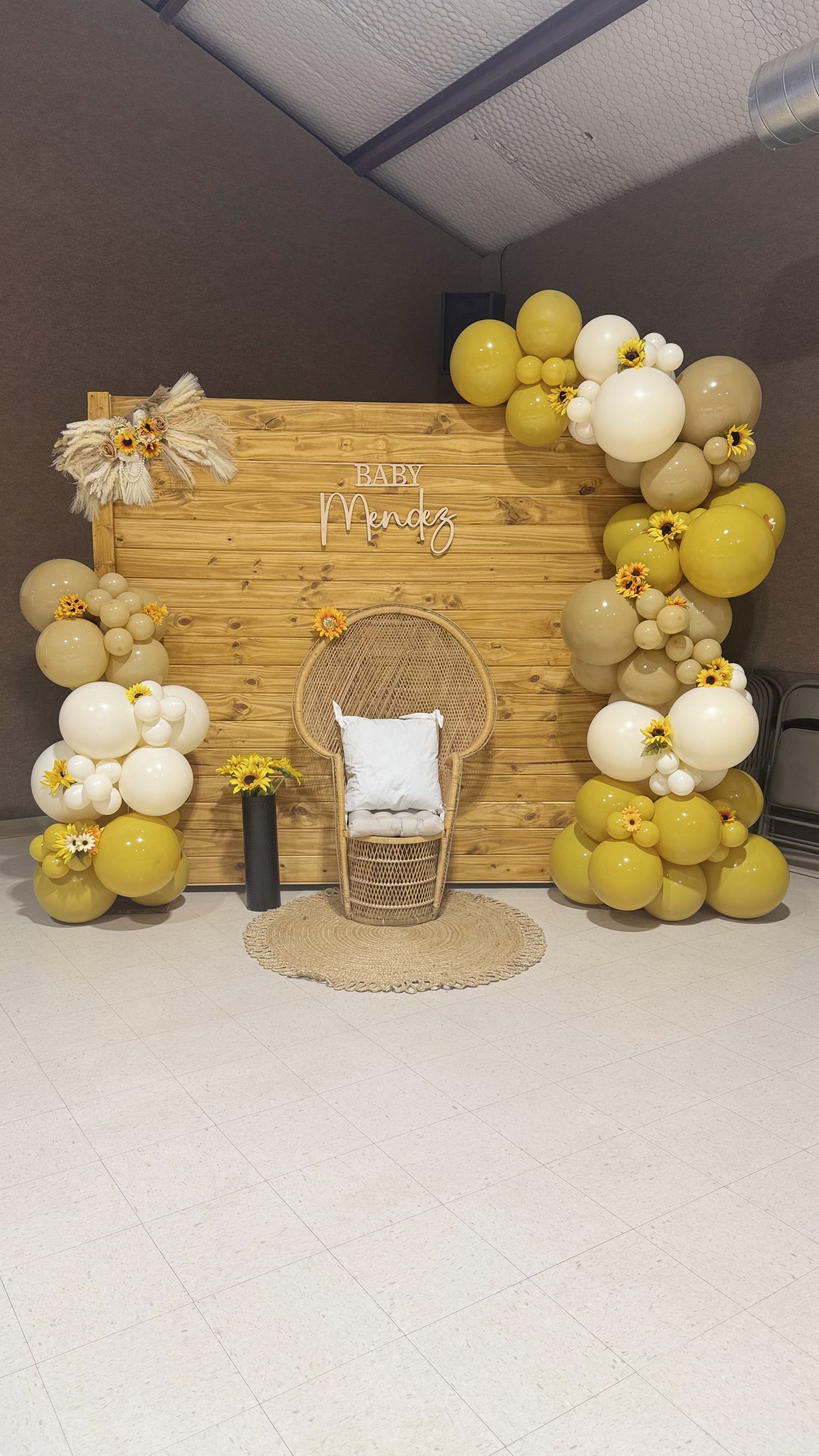 Balloons with Backdrop