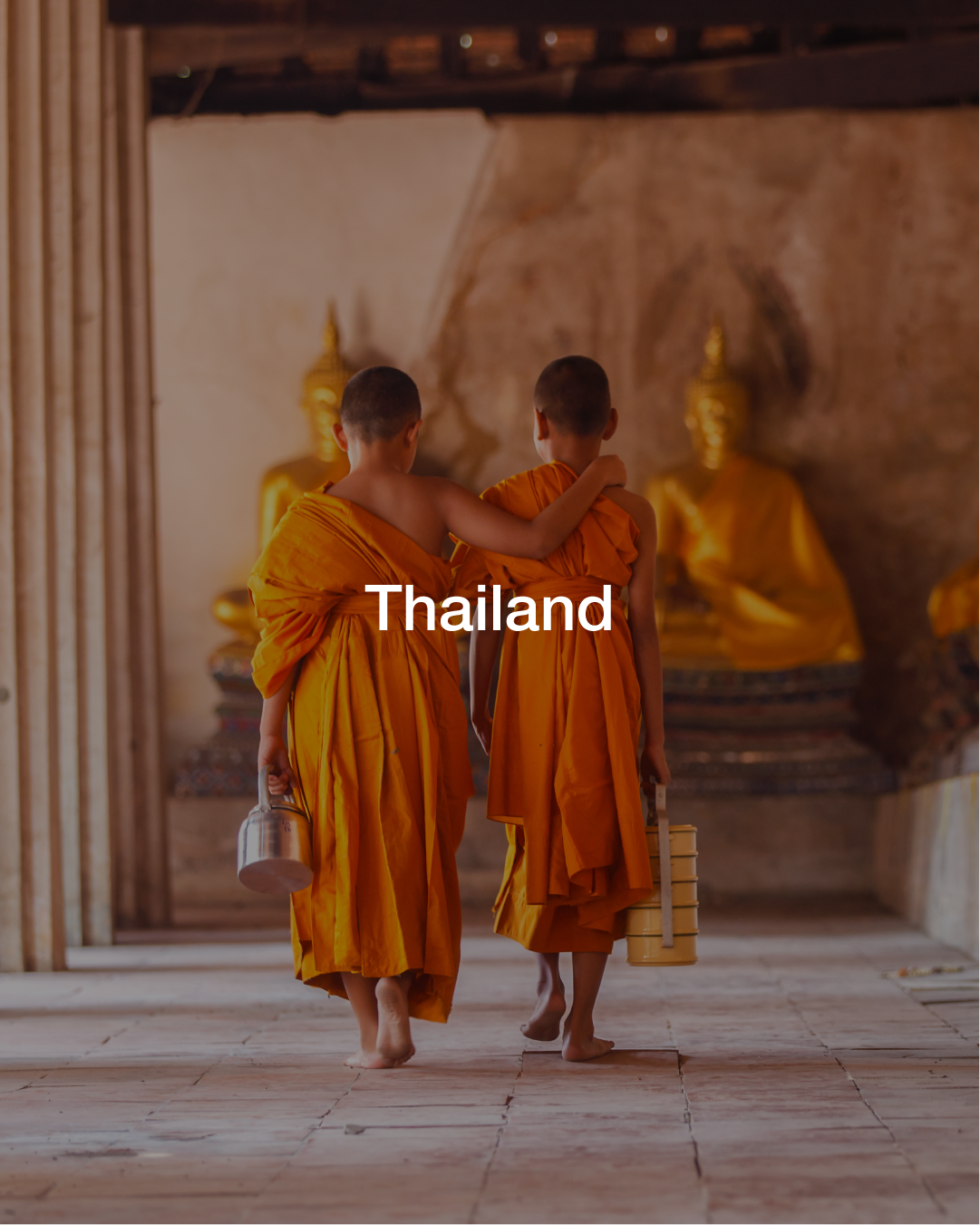 Artboard 1 copy 6.png