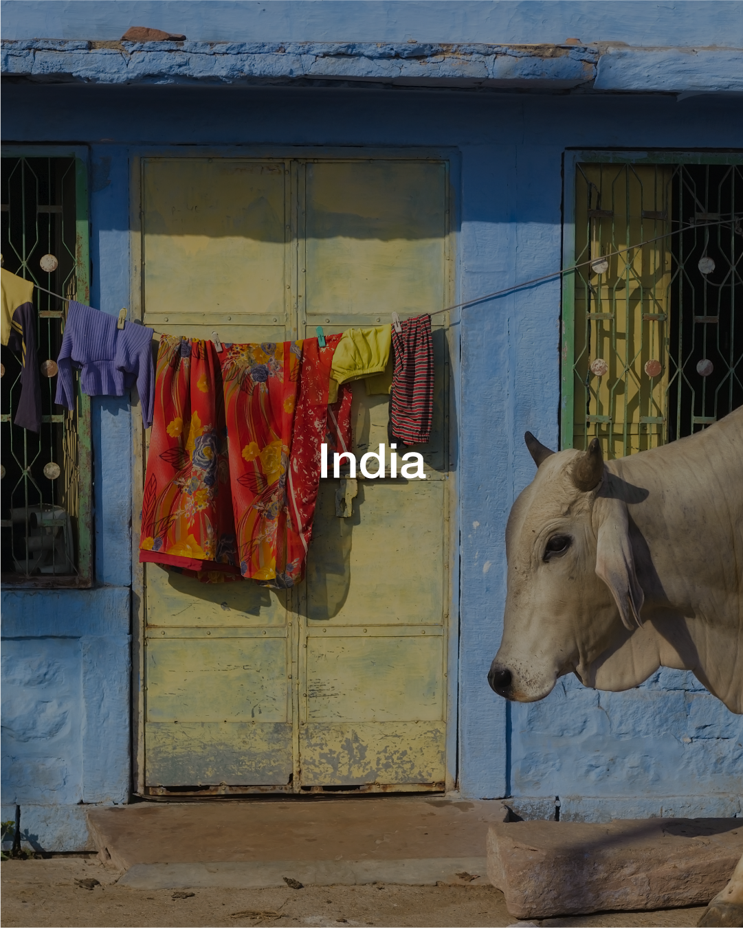 Artboard 1 copy 18.png