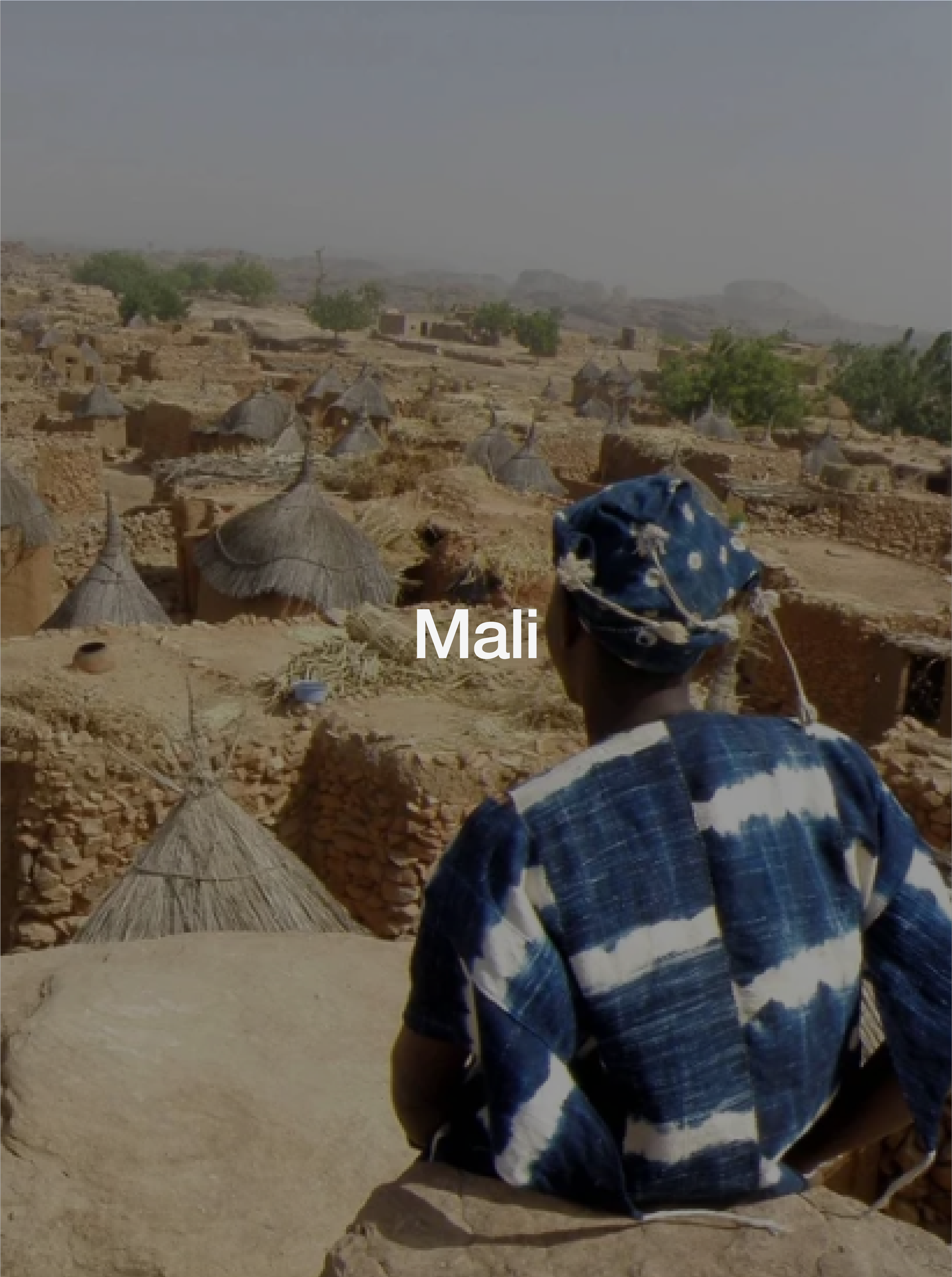 Mali-Website-03.png
