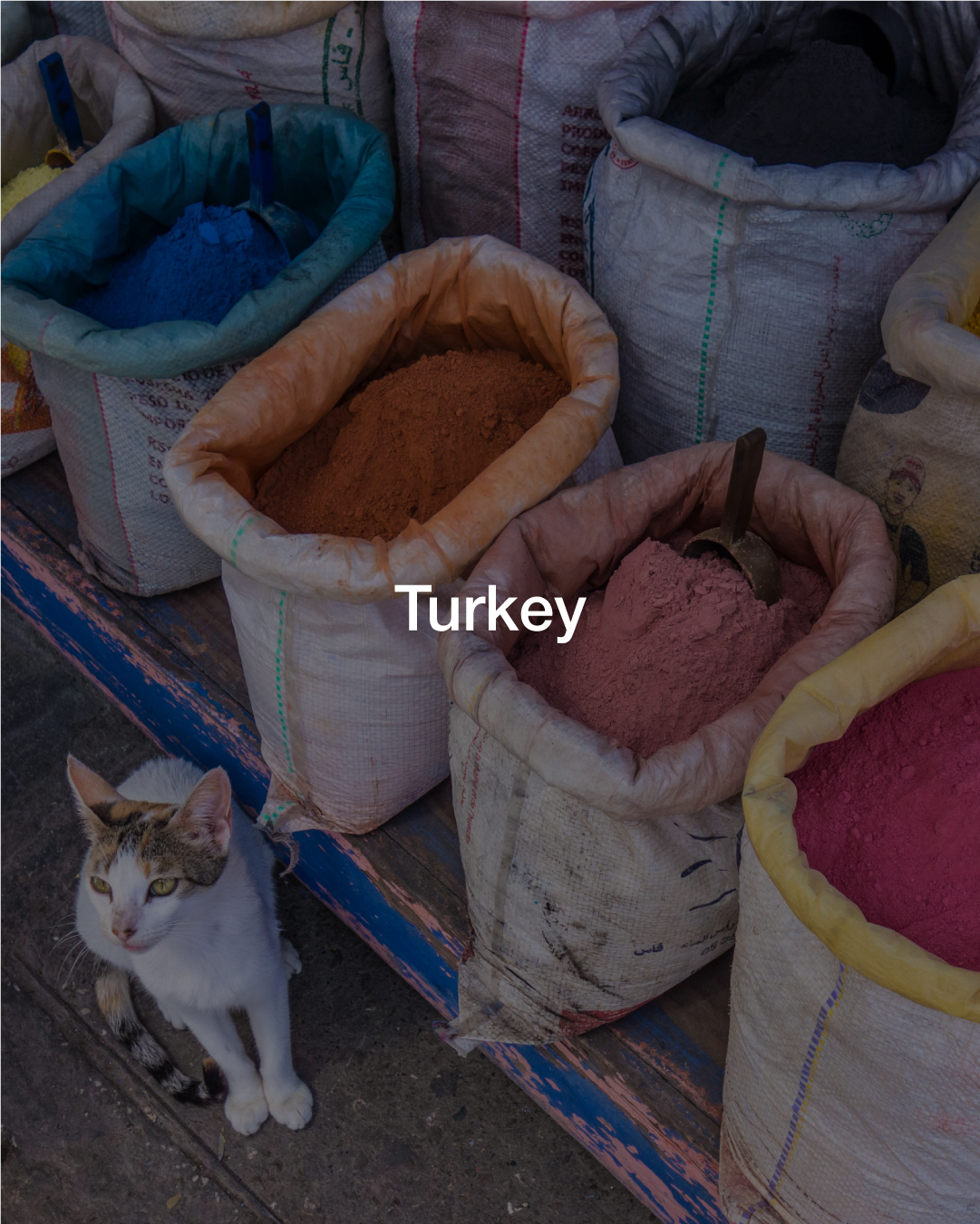 Artboard 1 copy 12.png