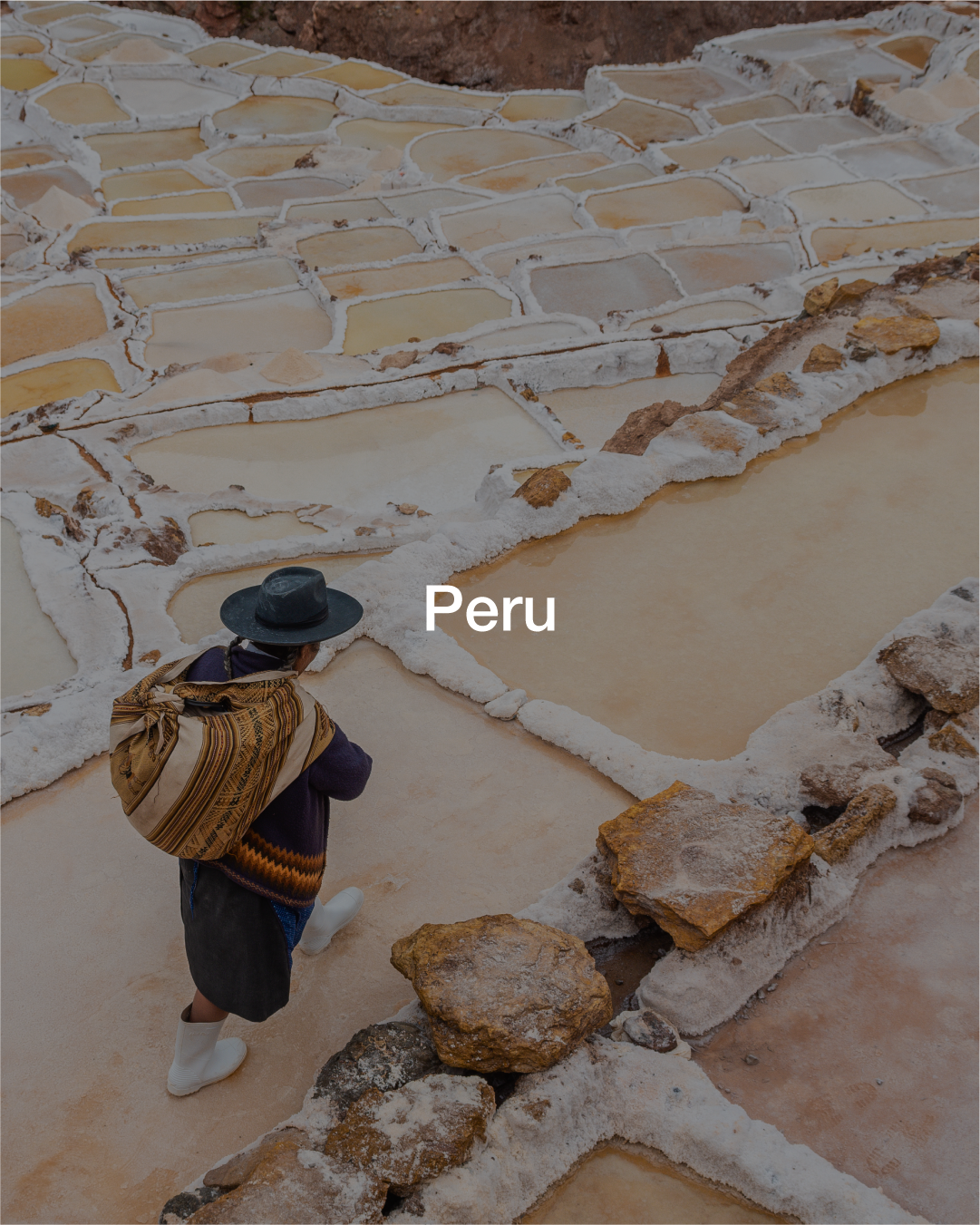 Artboard 1 copy 13.png