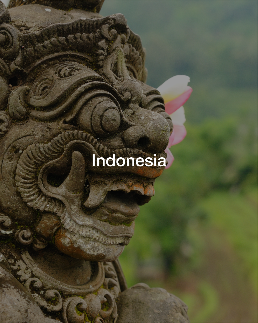 Artboard 1 copy 17.png