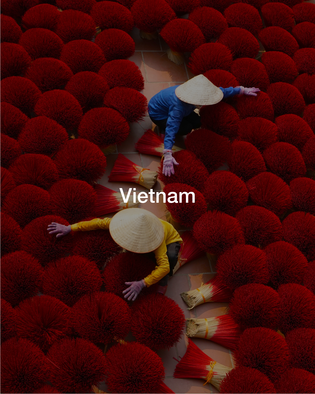 Artboard 1 copy 4.png