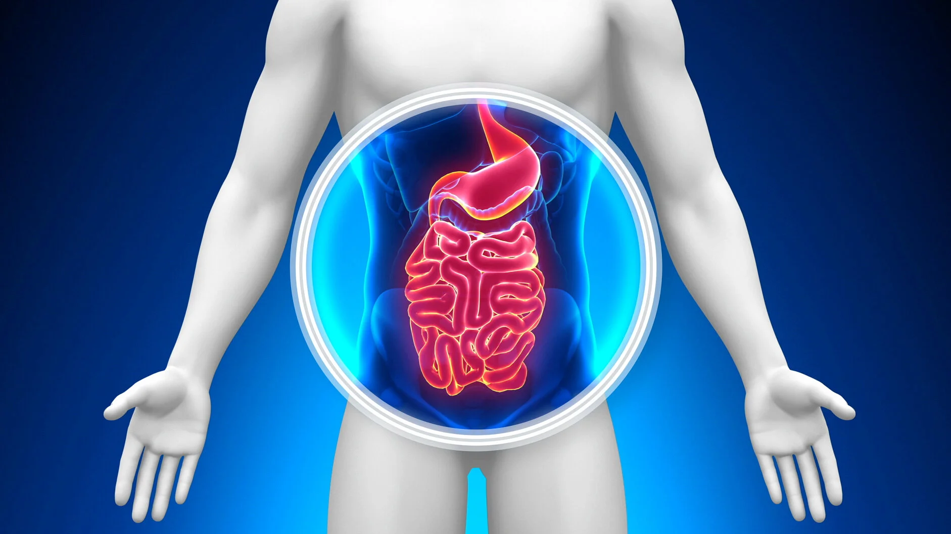 gastromed homepage slider 2R.jpg