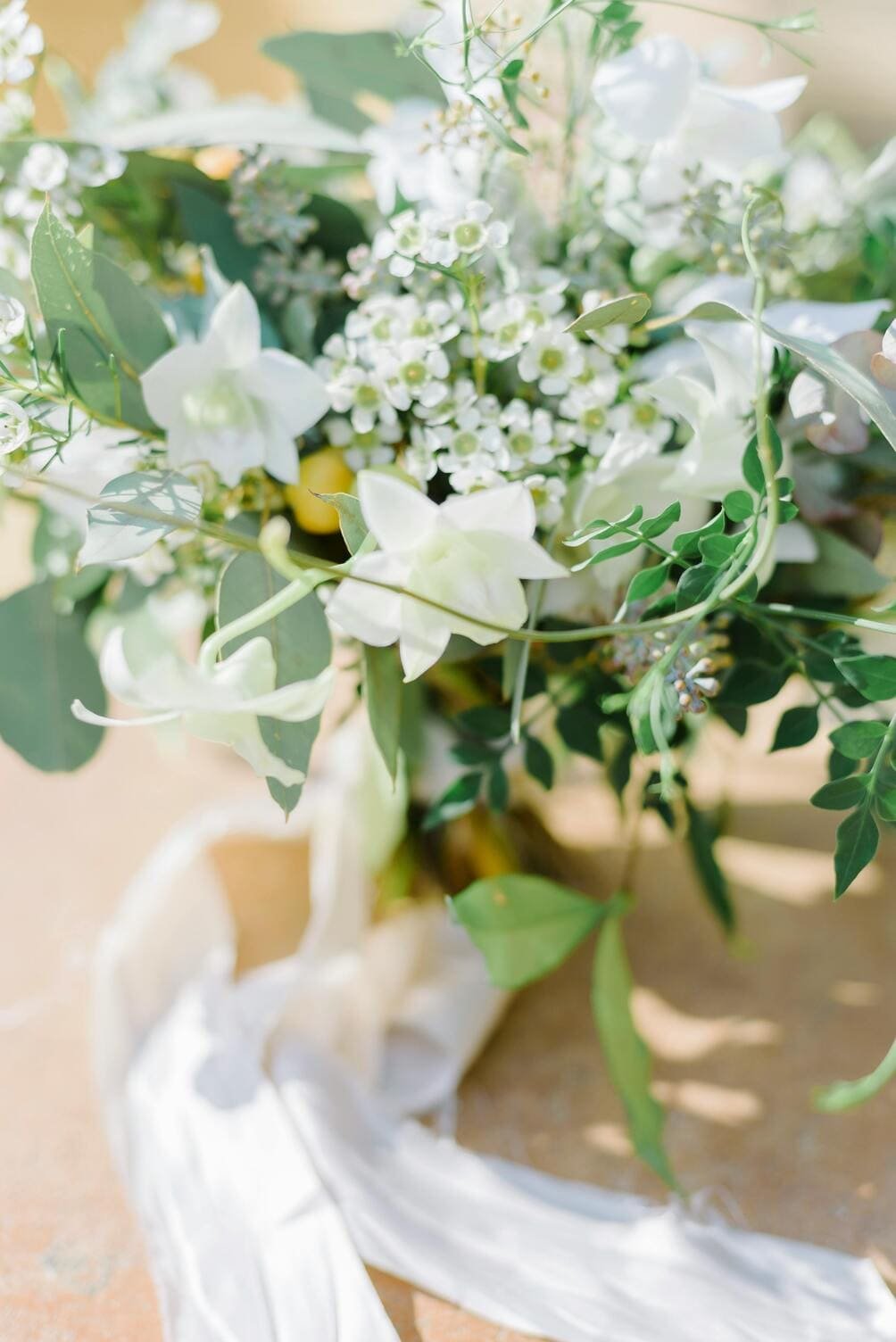 presentybox squarespace website template elisabeth43.jpg