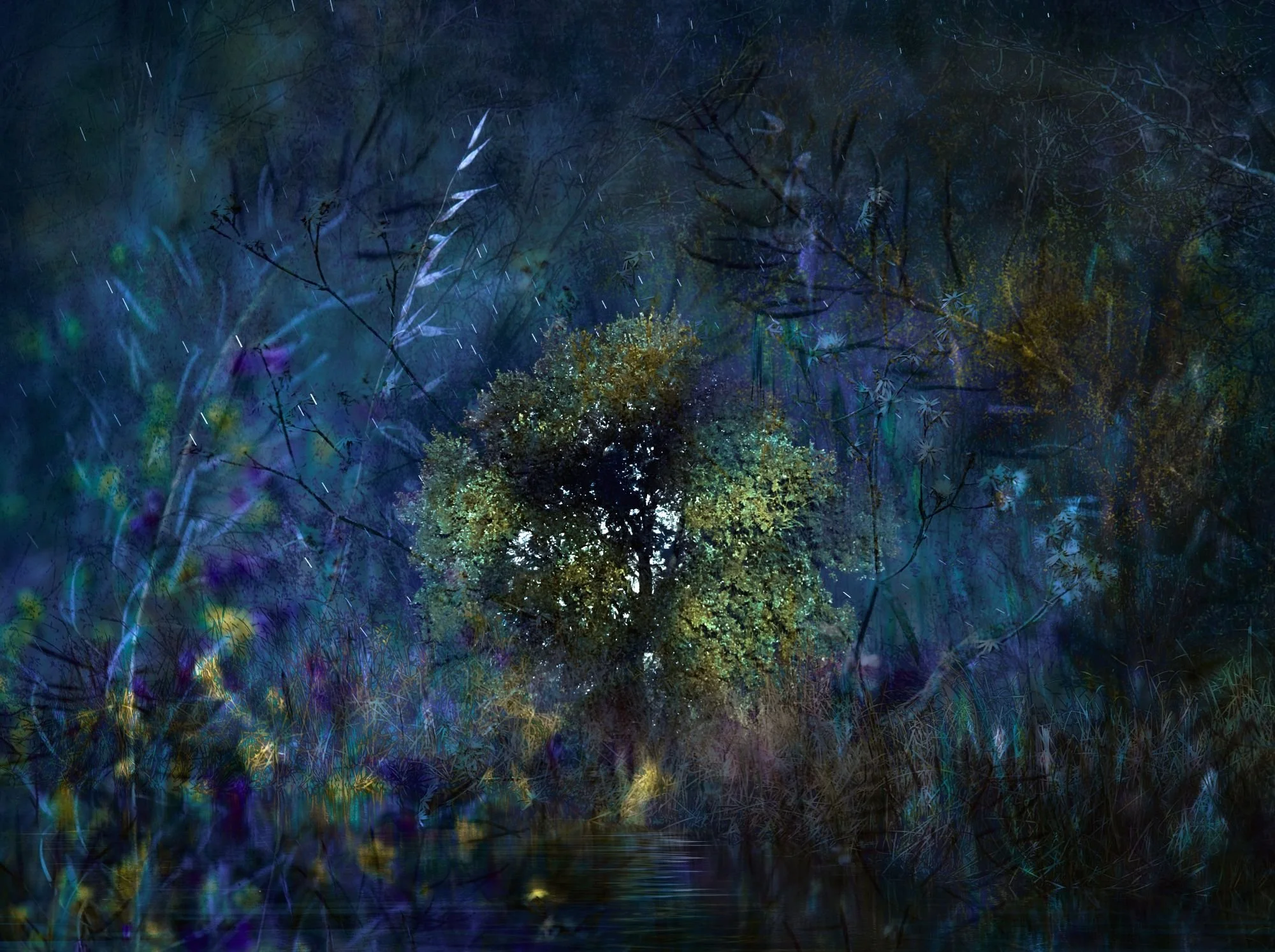 _1250036a copiaa.jpg