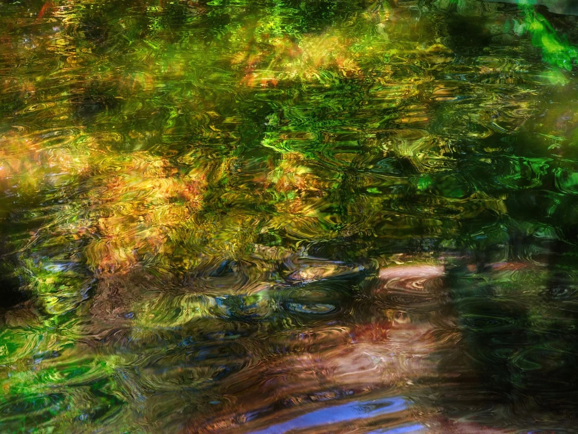Reflejos de árboles y cielo en agua con ondas y colores verdes, amarillos y marrones.