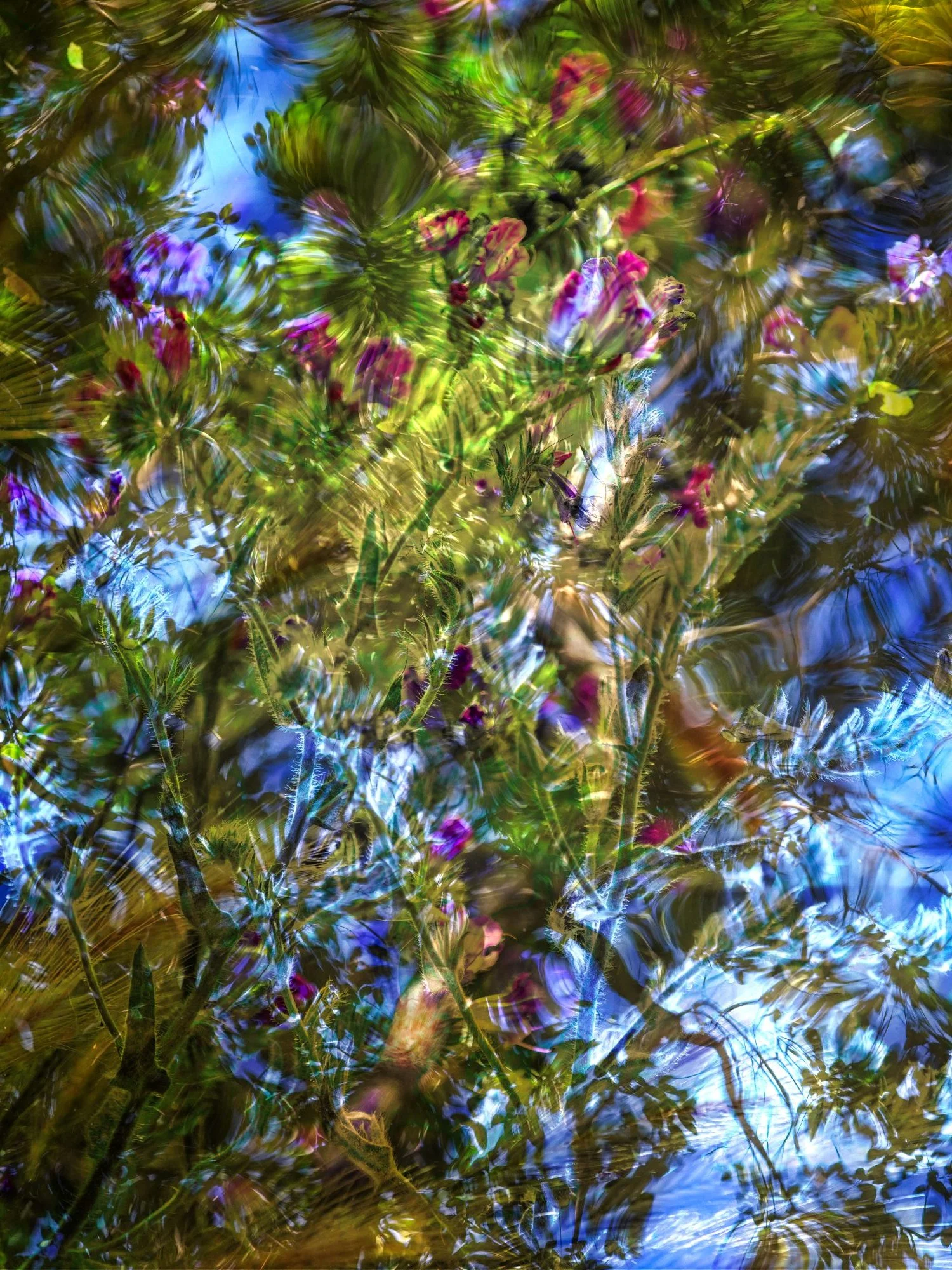 Memorias del Agua IX