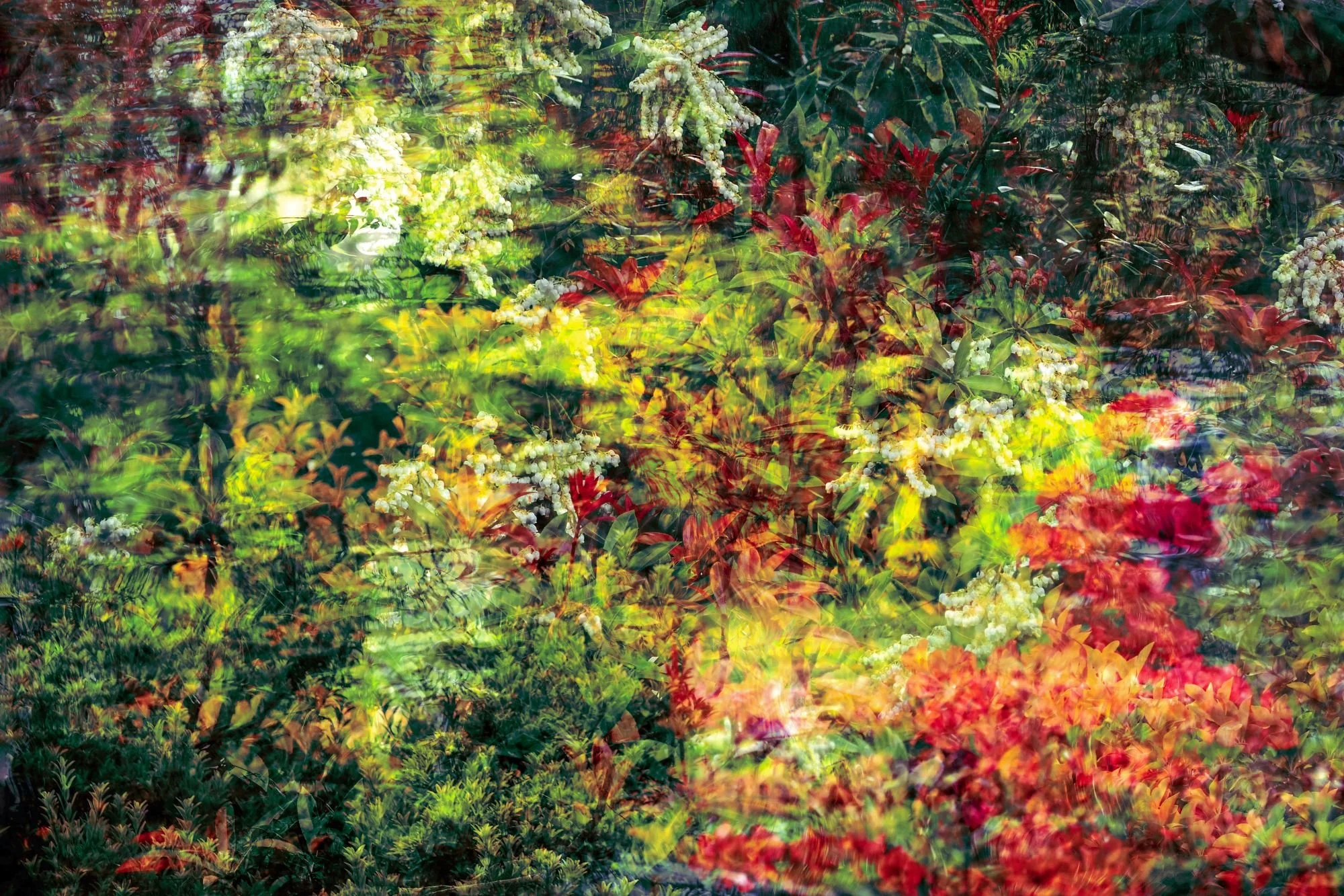 water-memories-08-vegetacion-otono-rojo-verde-fotografia-fine-art.jpg.jpg