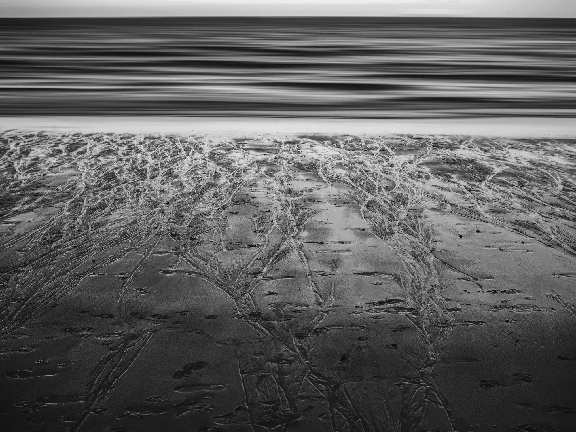 Sedas Marinas IV — Escrito por el Mar 