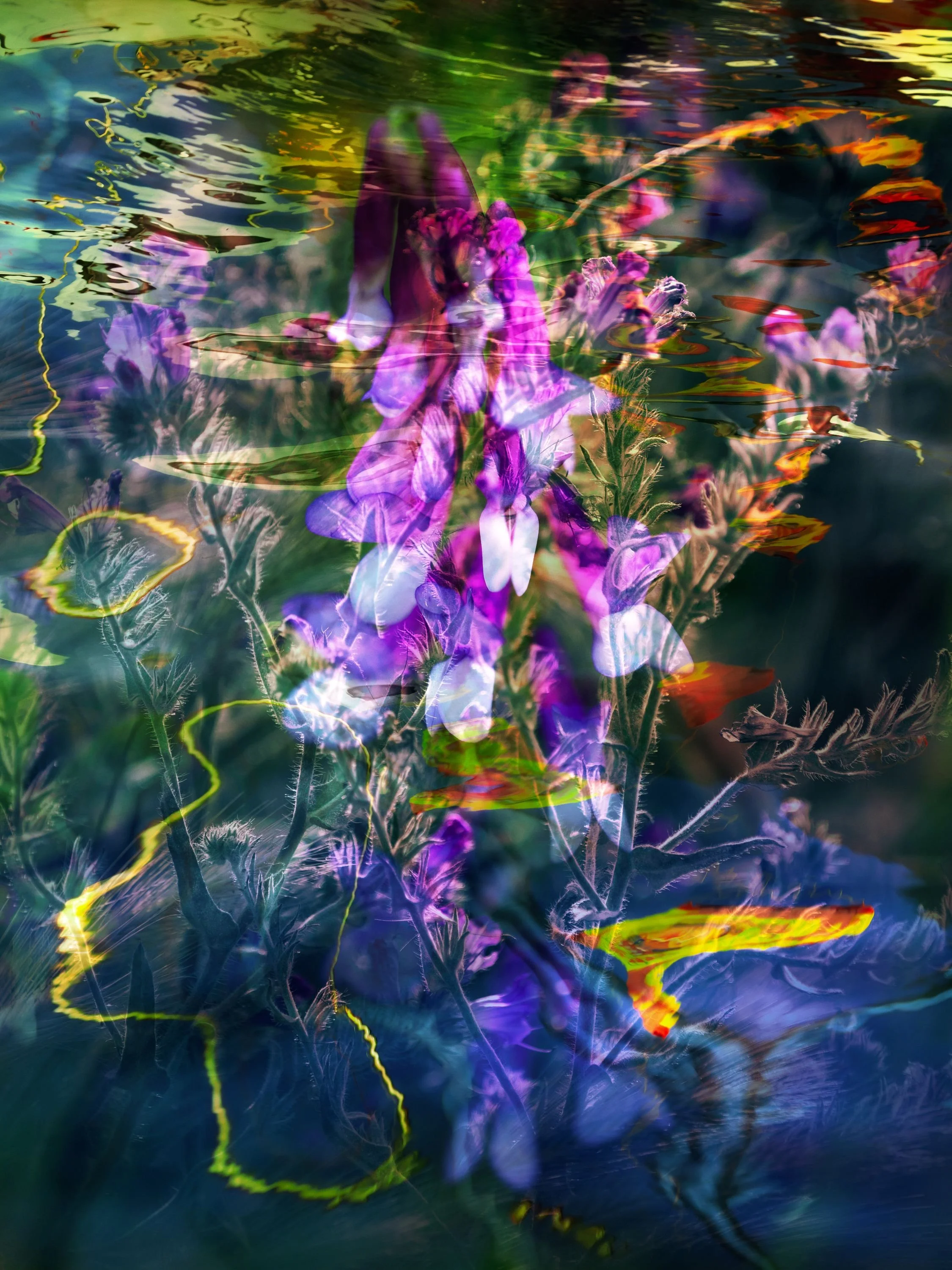 Memorias del Agua Vi