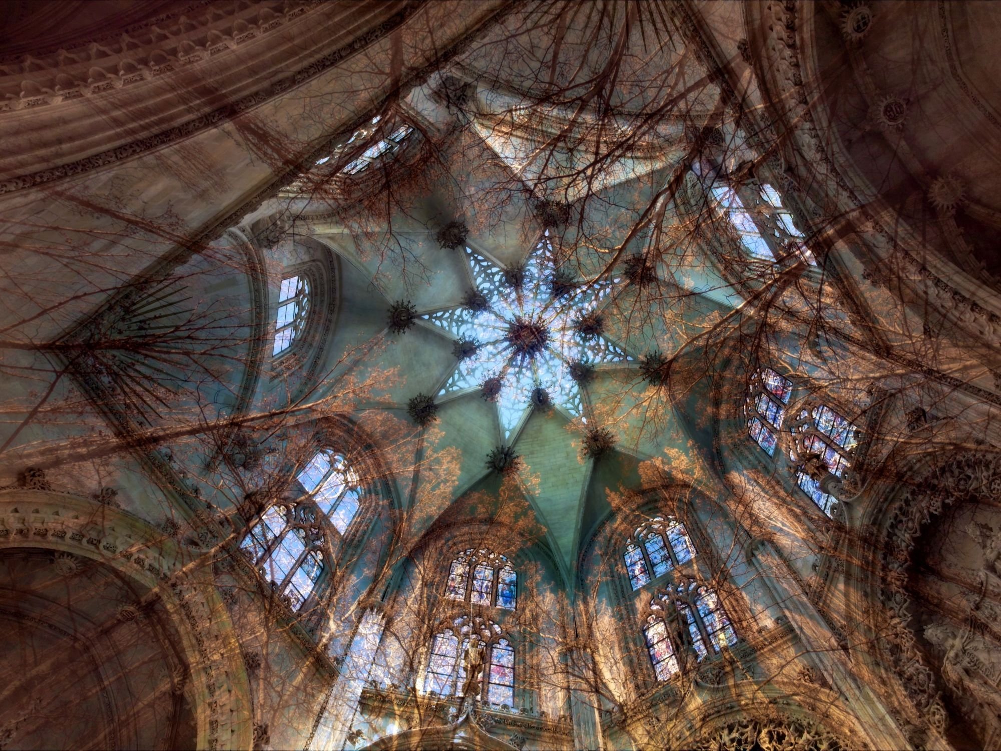 Vista del techo de una iglesia con vitrales y detalles arquitectónicos góticos, con árboles y luz natural entrando por las ventanas.