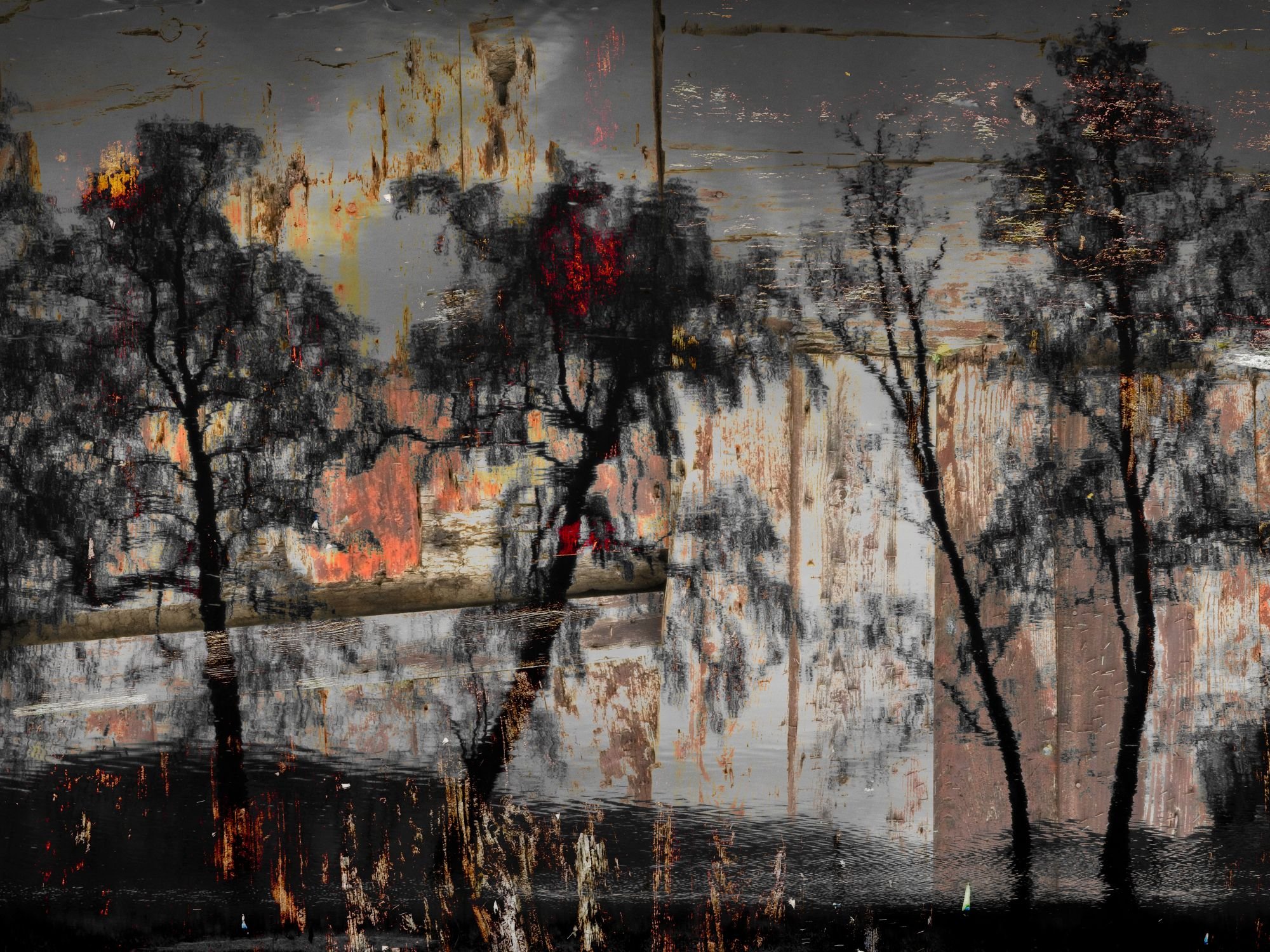 Fotografía artística que fusiona elementos naturales y texturas deterioradas. La composición presenta siluetas de árboles oscuros (posiblemente álamos o abedules sin hojas) con un fuerte efecto de doble exposición o superposición. El fondo dominante 