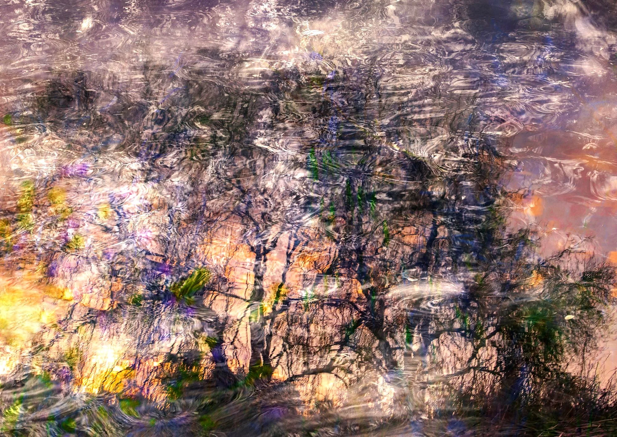 water-memories-02-reflejo-ramas-agua-rosa-fotografia-fine-art.jpg.jpg