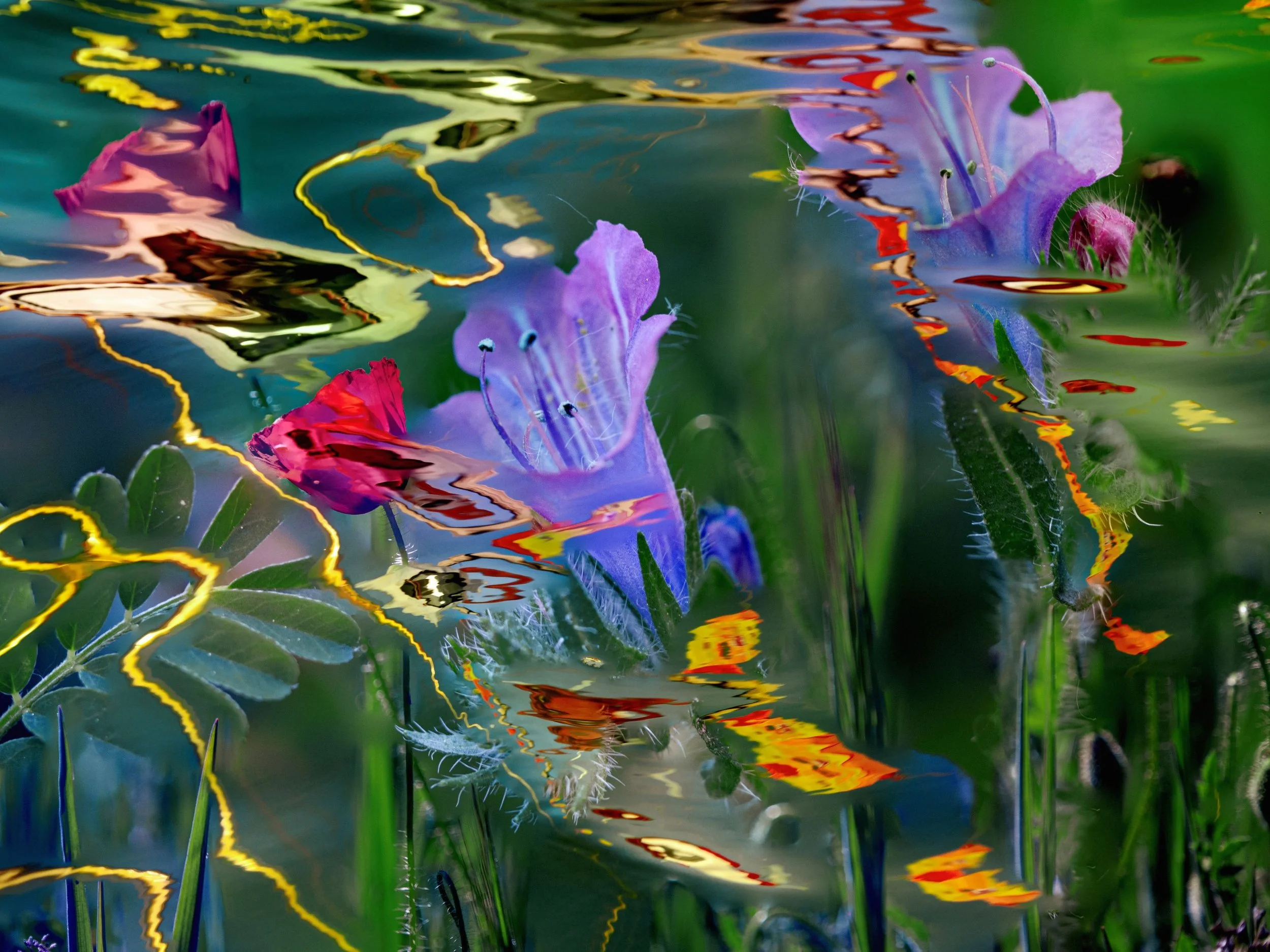 Memorias del Agua VII