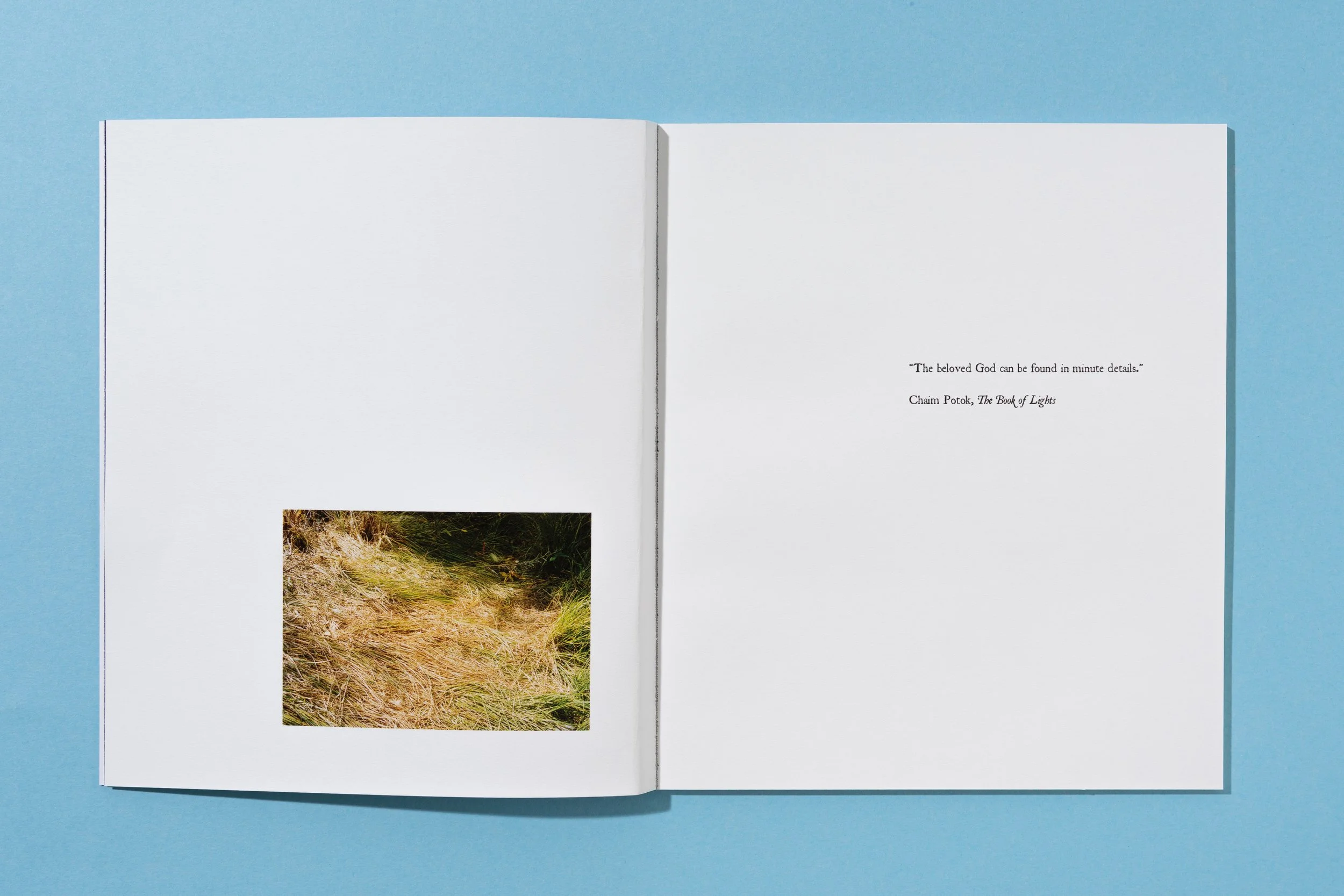 ATEOTKW Zoe Book-4.jpg