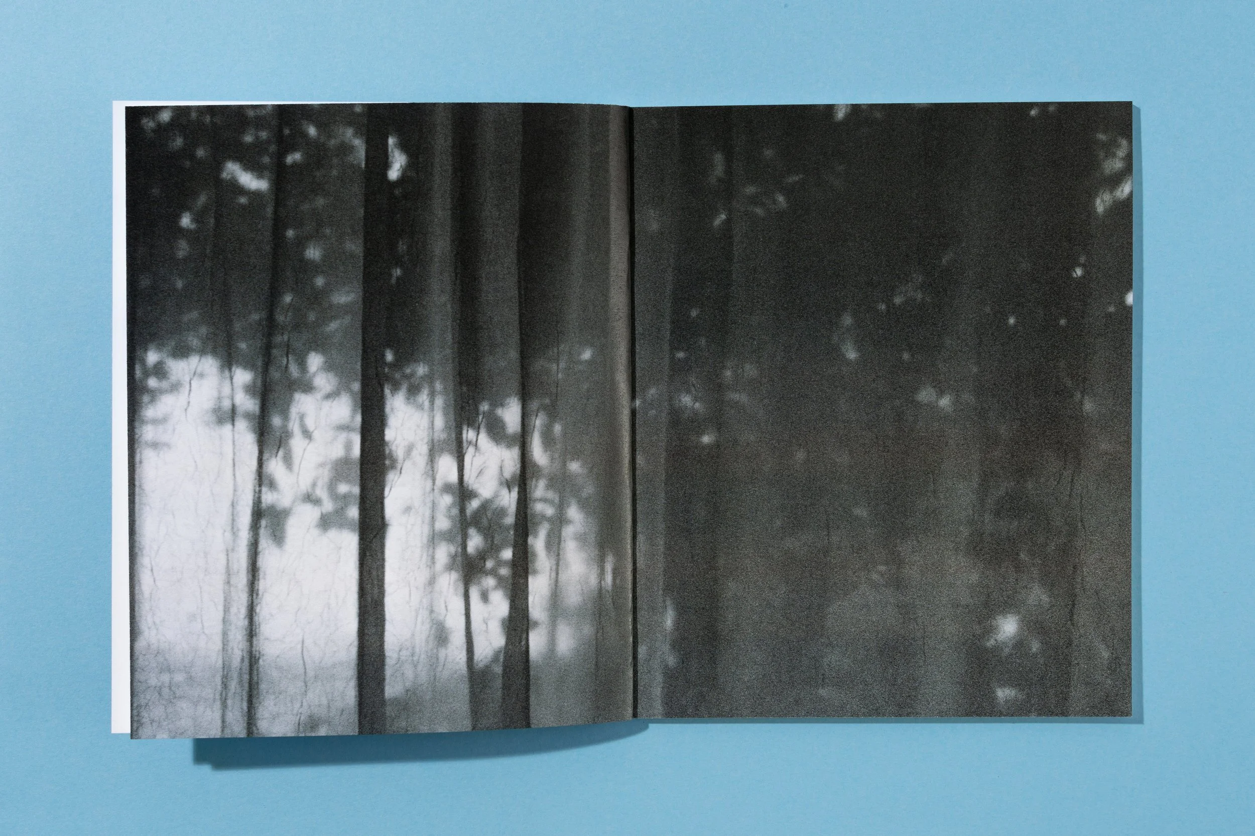 ATEOTKW Zoe Book-3.jpg