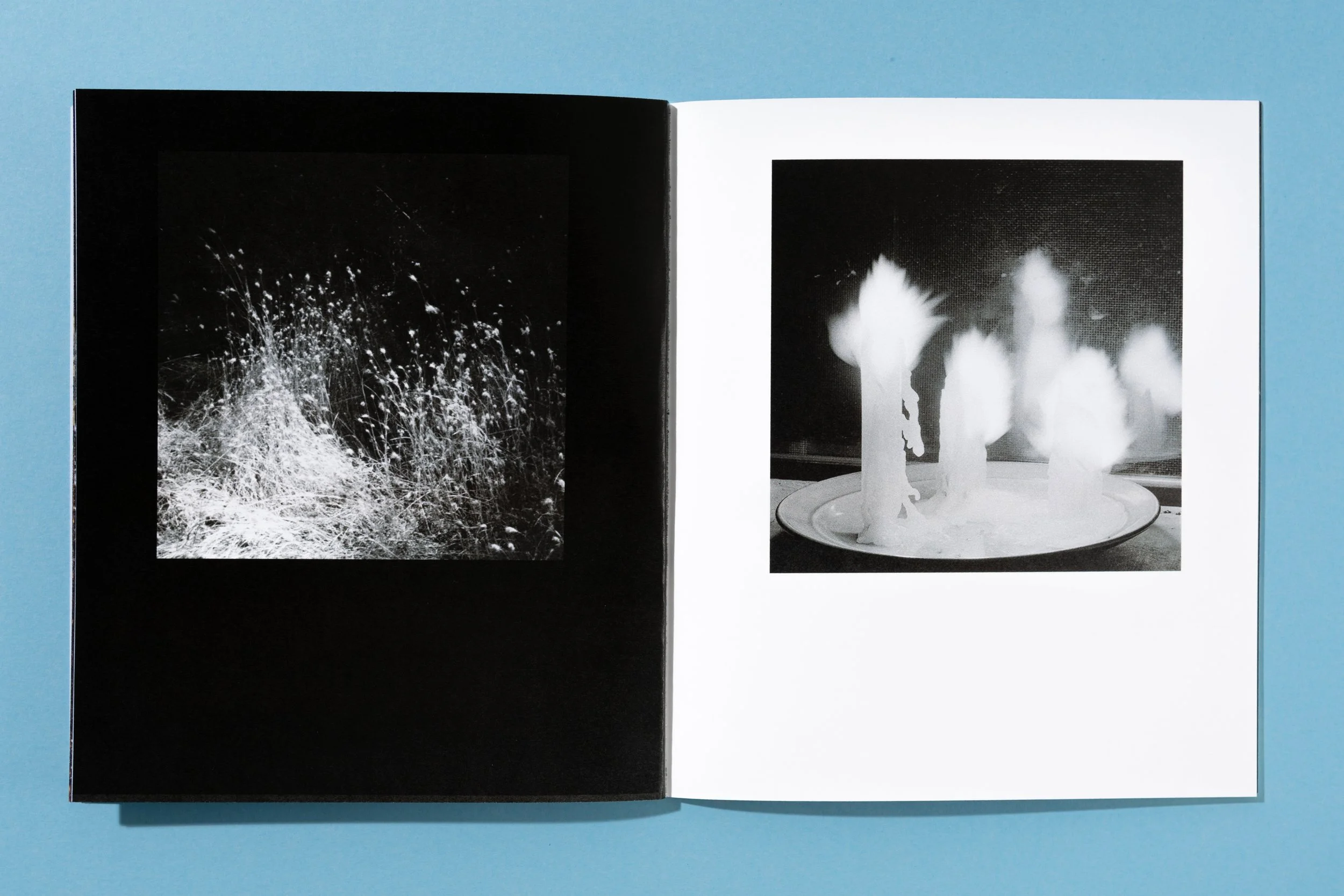 ATEOTKW Zoe Book-11.jpg