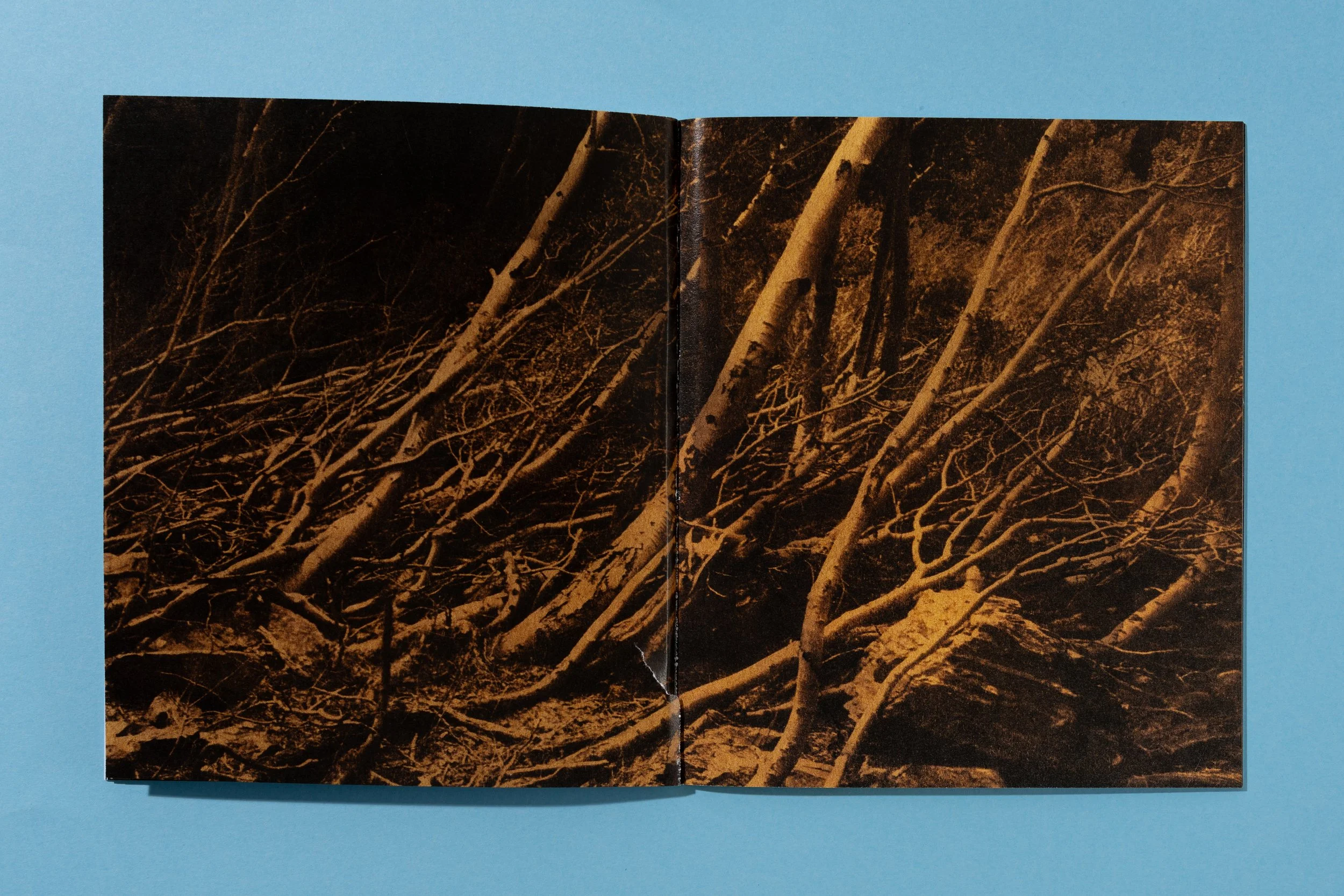 ATEOTKW Zoe Book-12.jpg