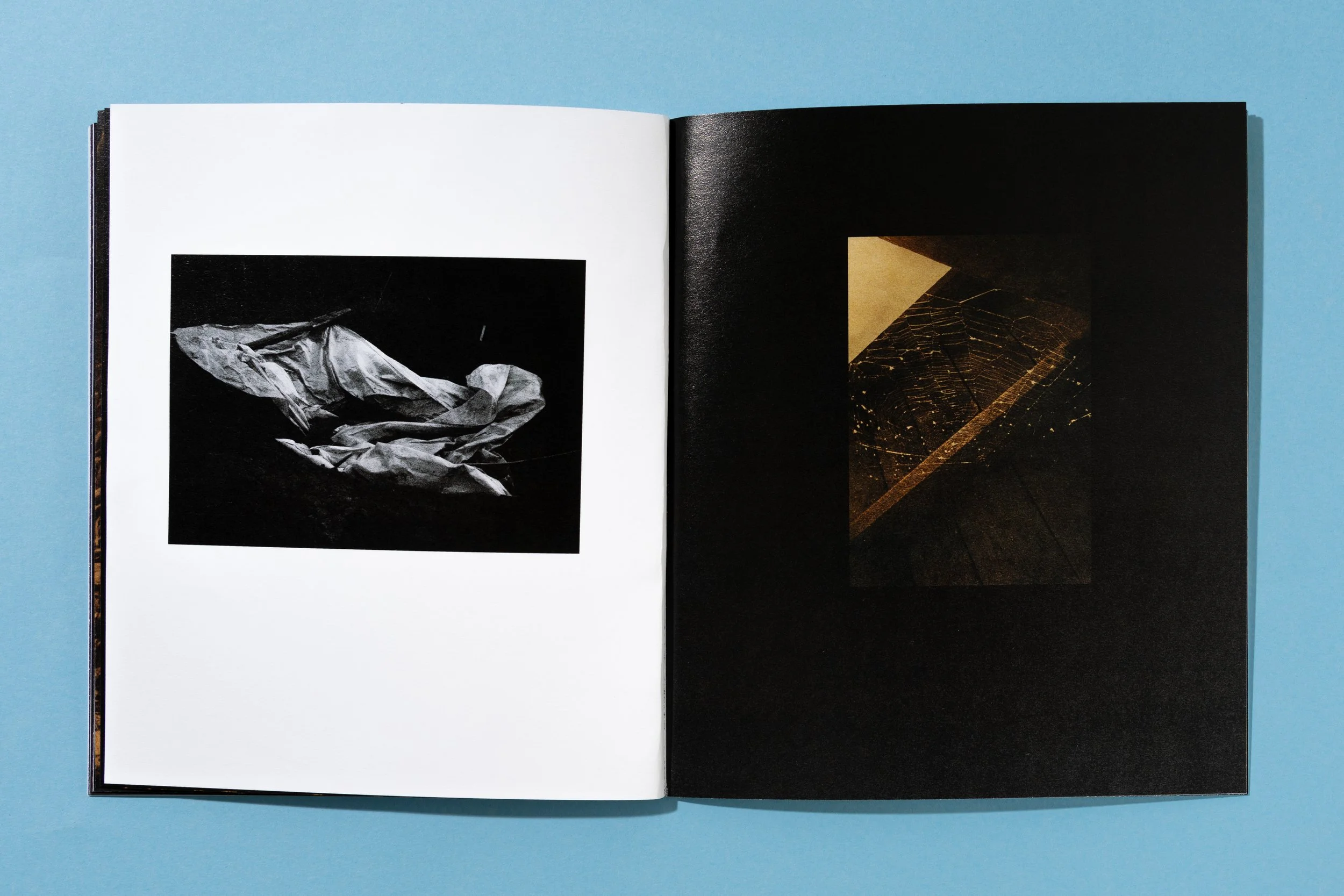 ATEOTKW Zoe Book-14.jpg