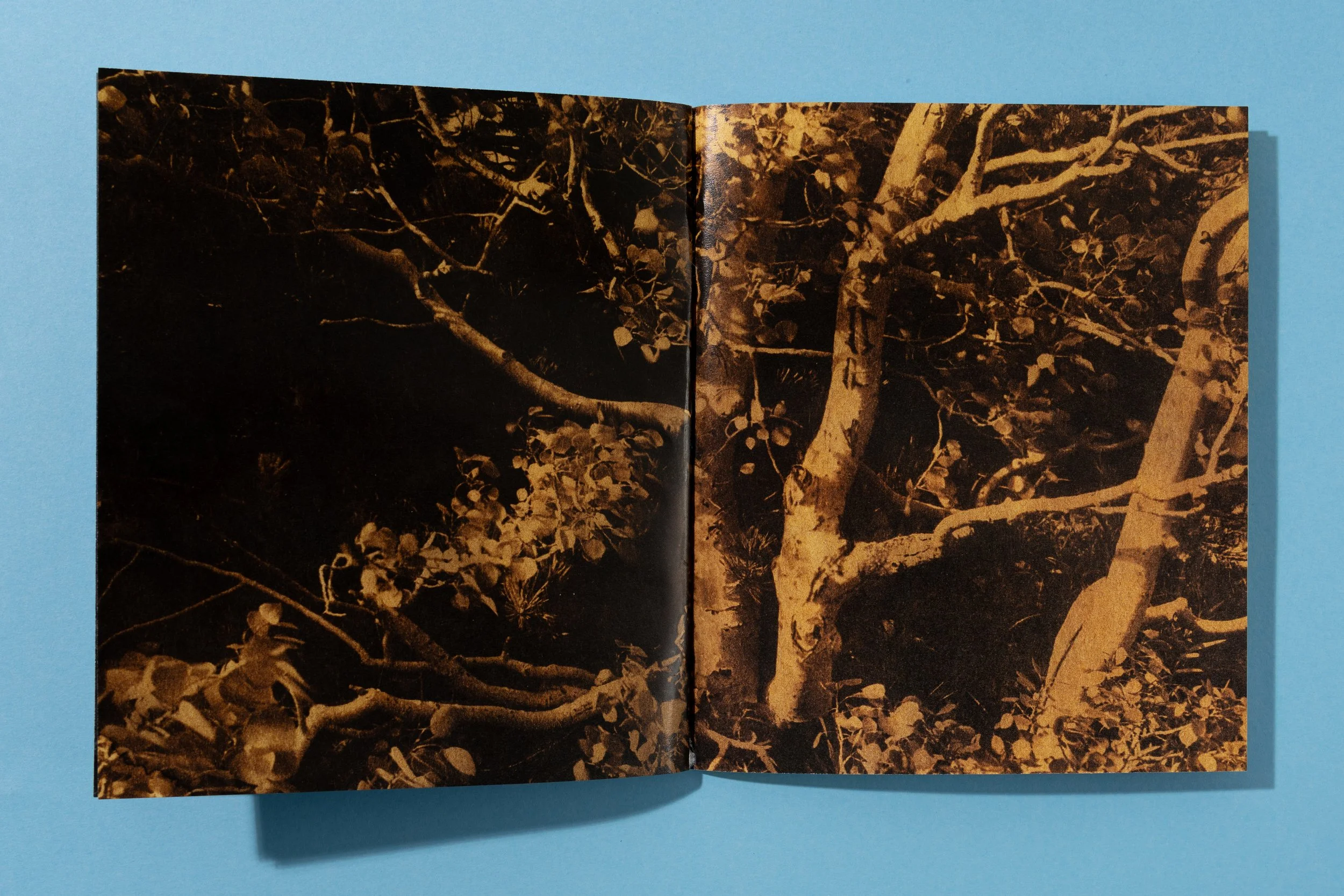 ATEOTKW Zoe Book-16.jpg