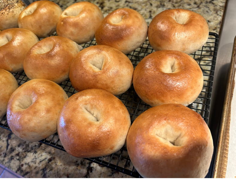 Plain Sourdough Bagels - 6-Pack