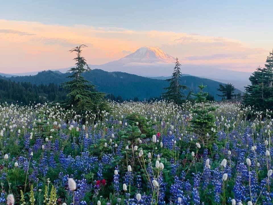 IMG_1837.jpeg (Copy)