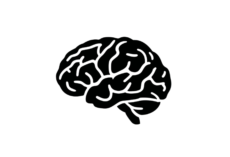 Cognitive Function