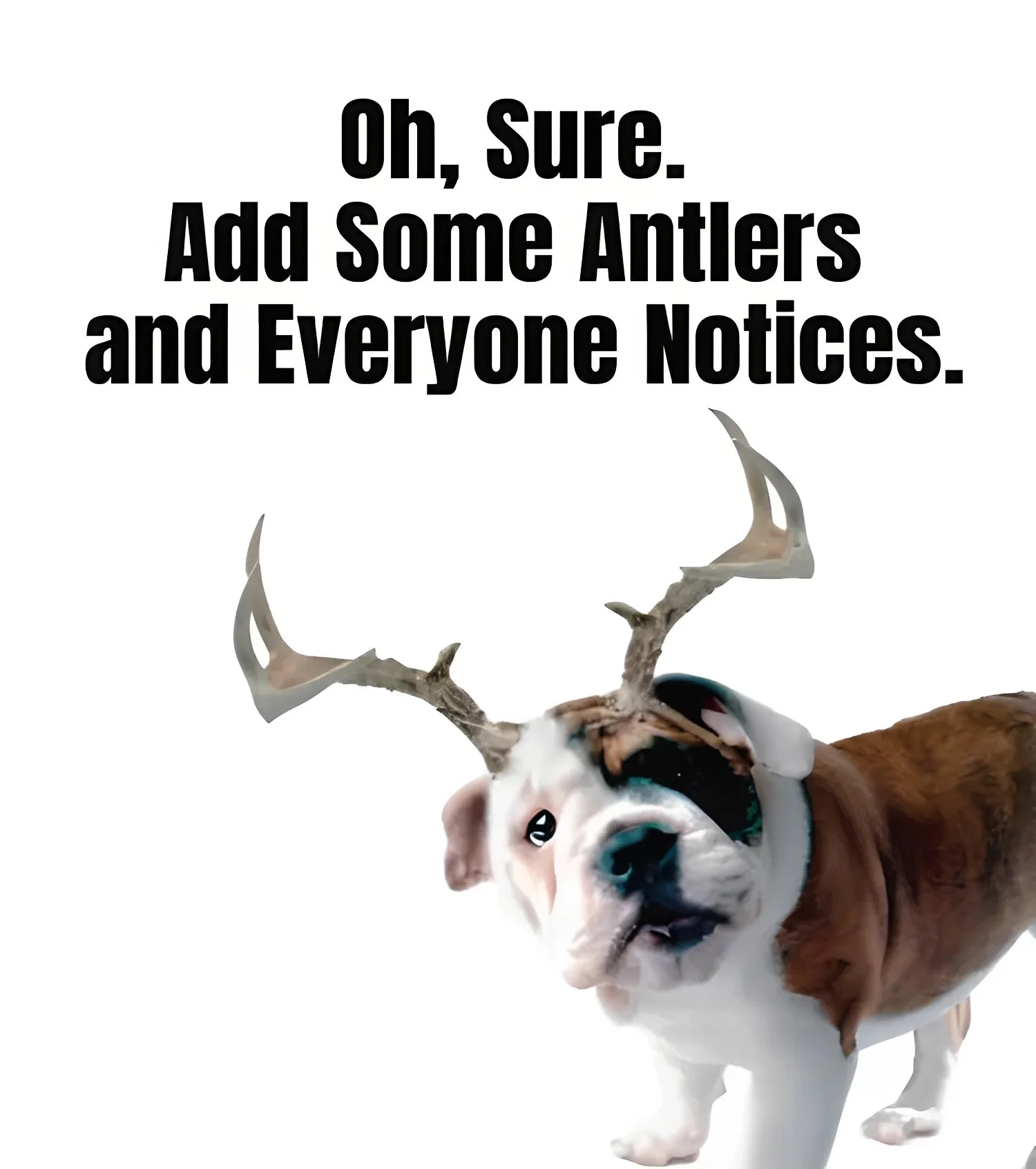 A bulldog with antlers and a humorous facial expression, accompanied by the text 'Oh, Sure. Add Some Antlers and Everyone Notices.'