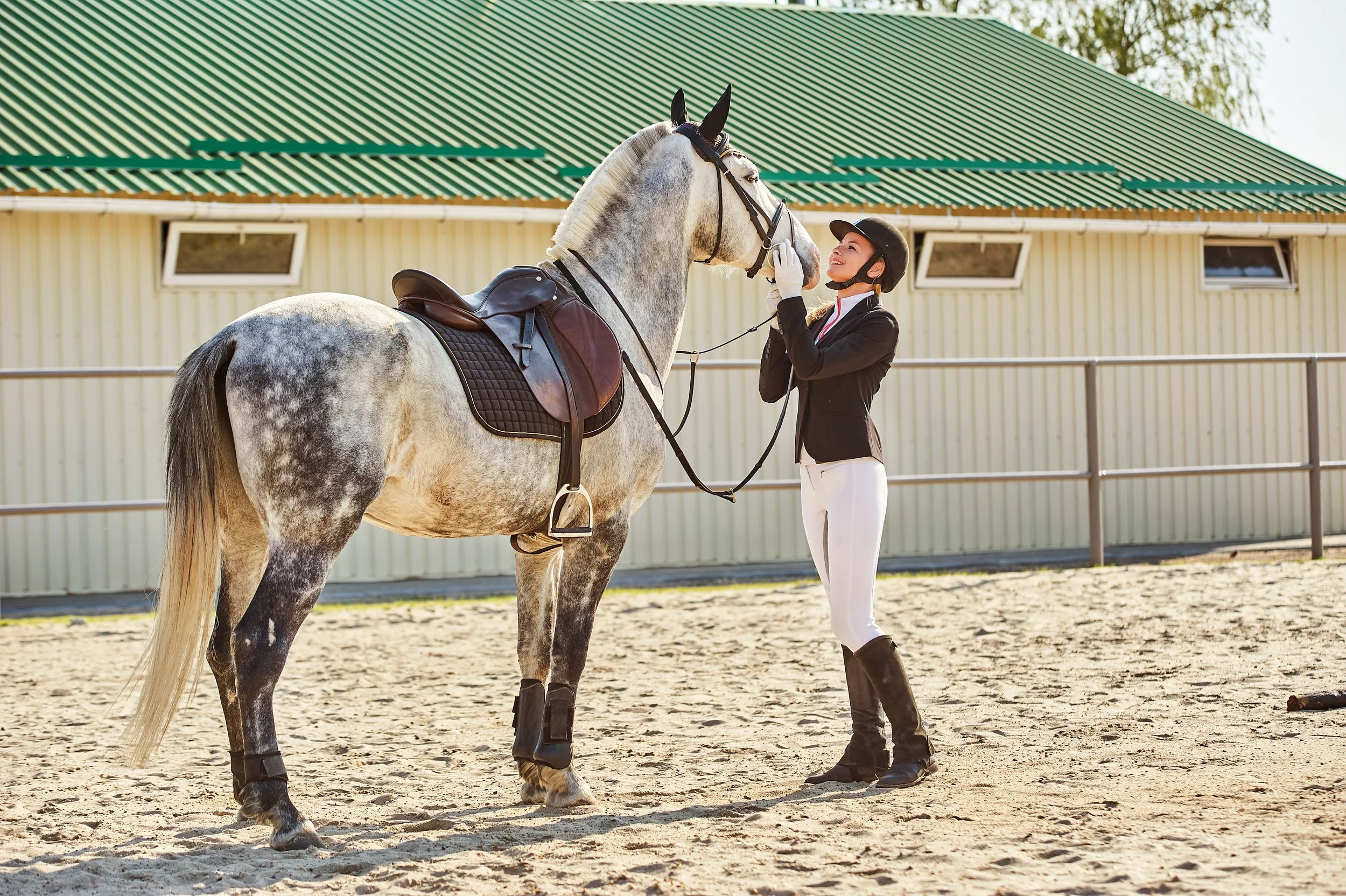 Rider in show wear standing next to their  gray horse happily bonding