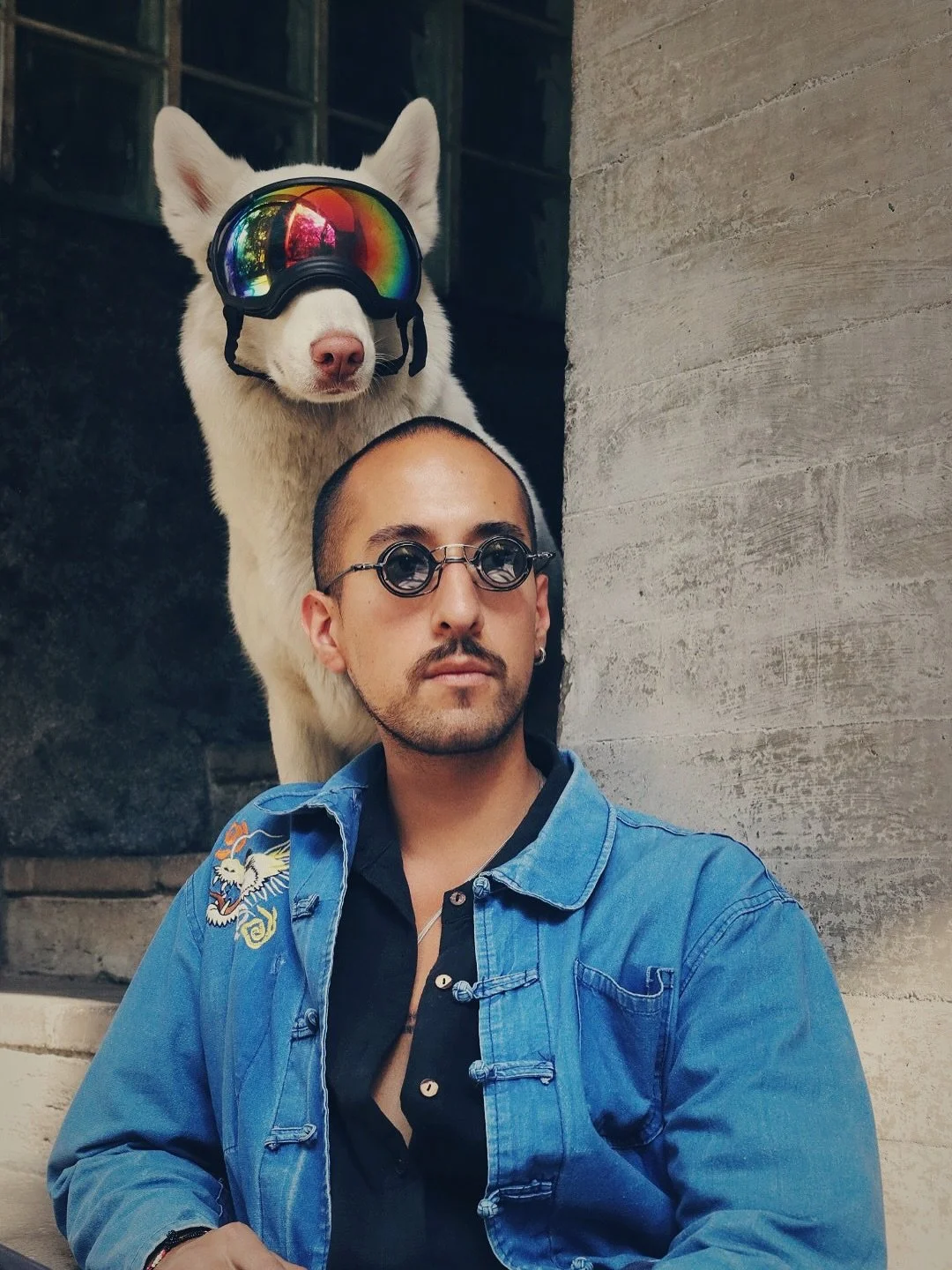 Dogs are the best🐶