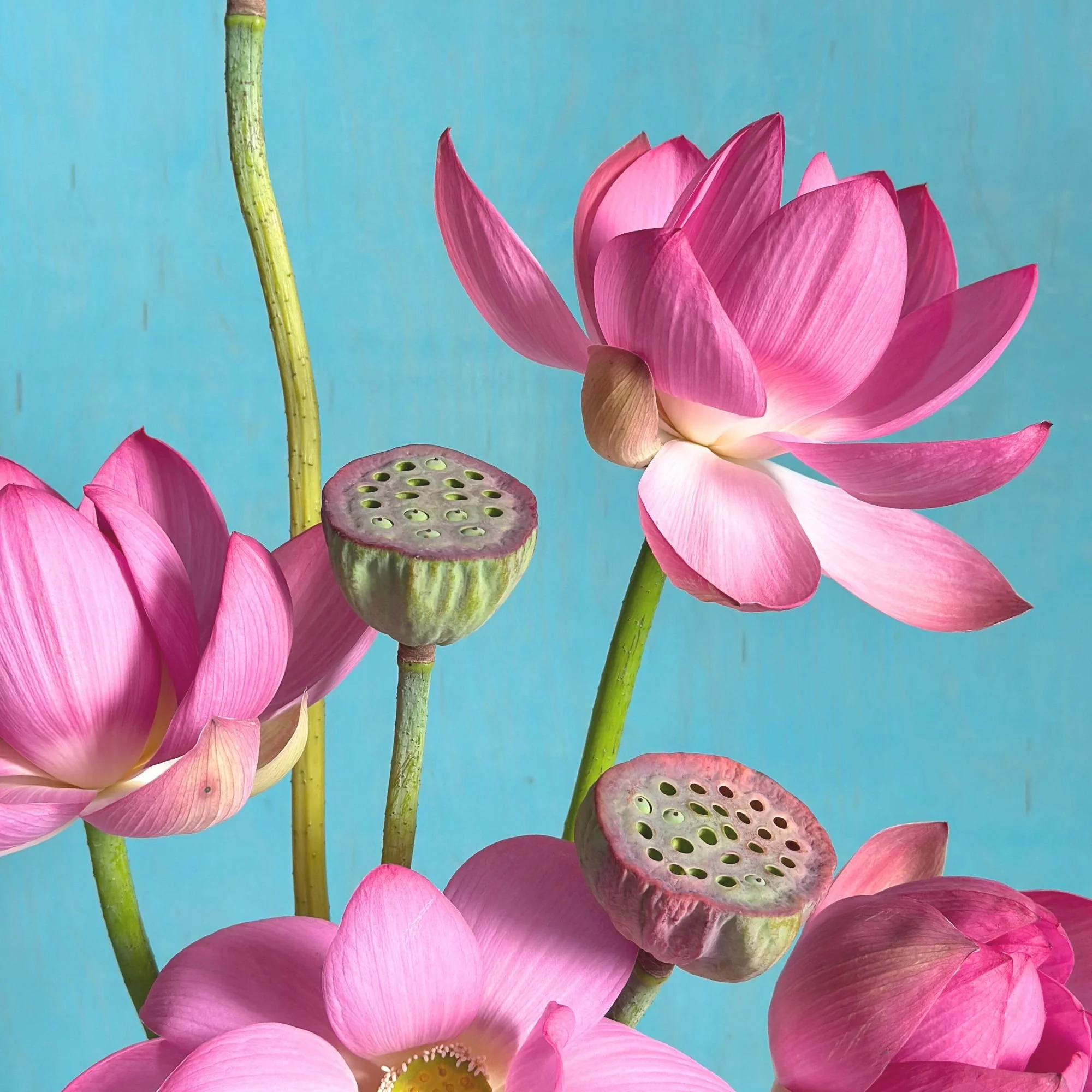 brooklyn-floral-design-lilyfete-event (1).jpg